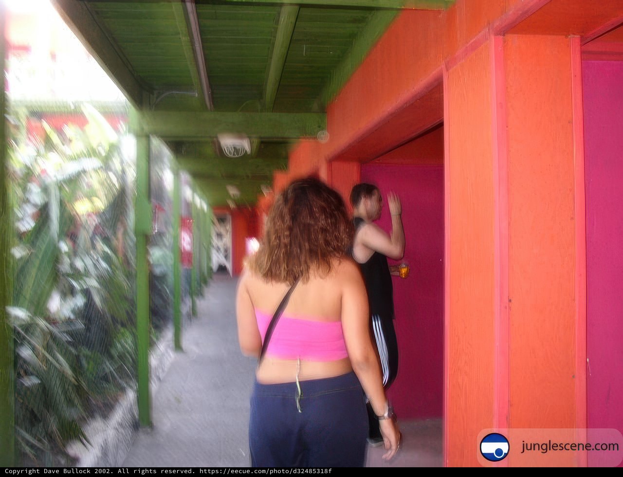 Walking Down the Pink Corridor
