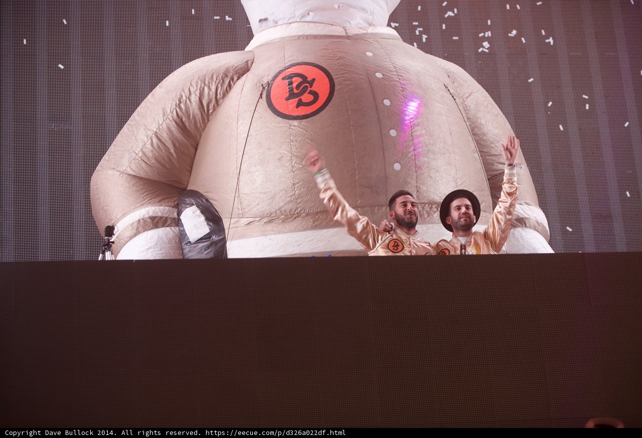 Bear-ing it All at Coachella