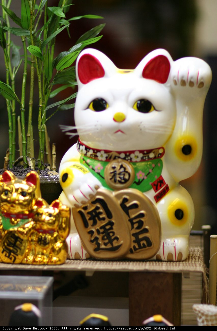 Feline Frenzy in Little Tokyo