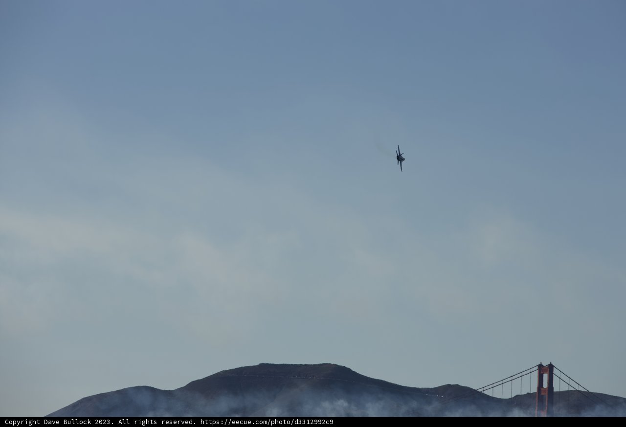Soaring Heights: The Intersection of Nature and Innovation