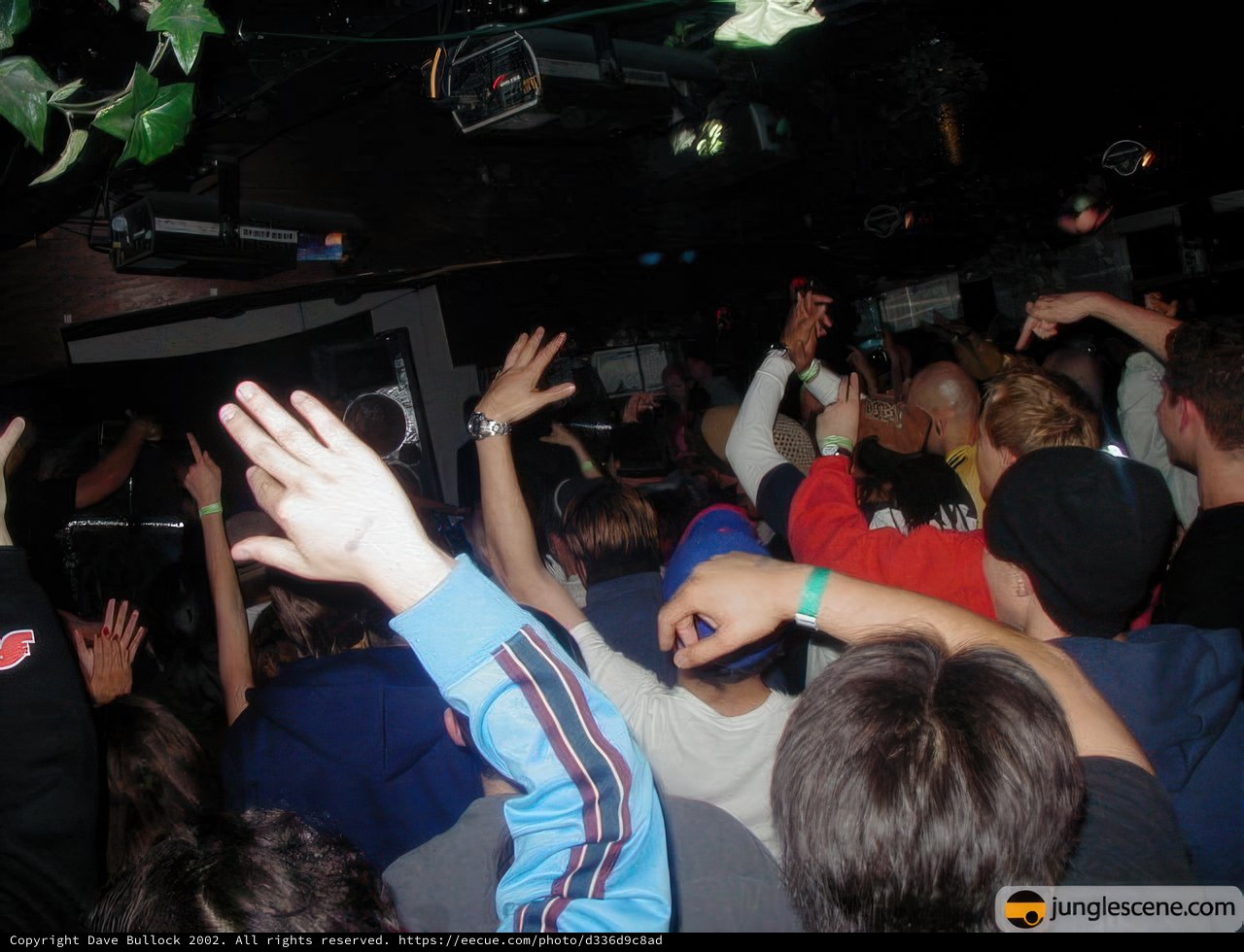 Nightclub Dance Party