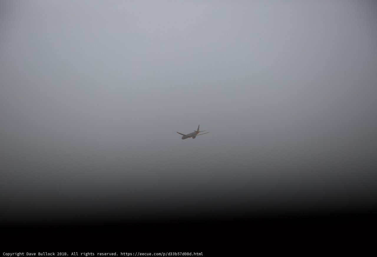 Above the Fog
