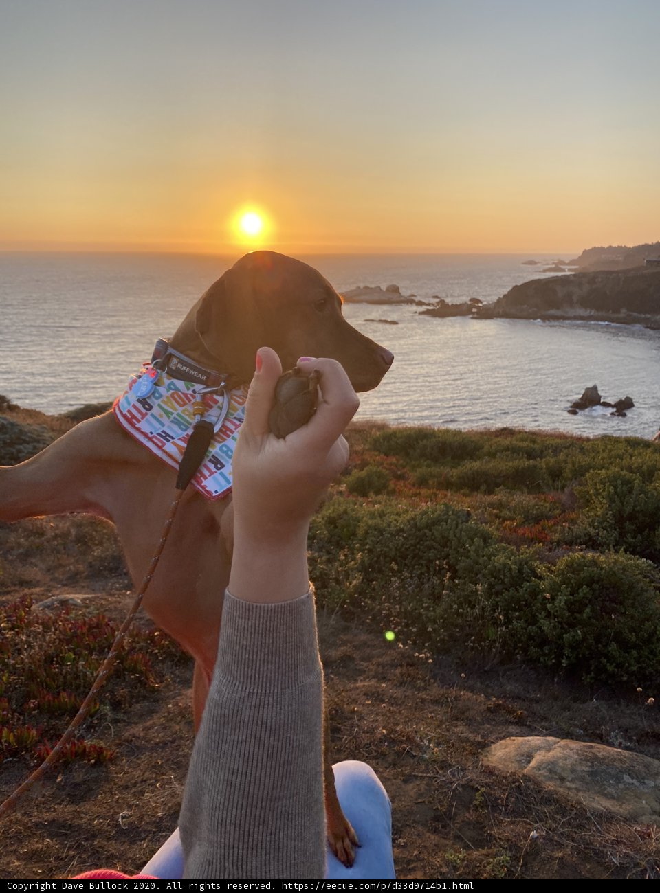 Sunset Snuggles
