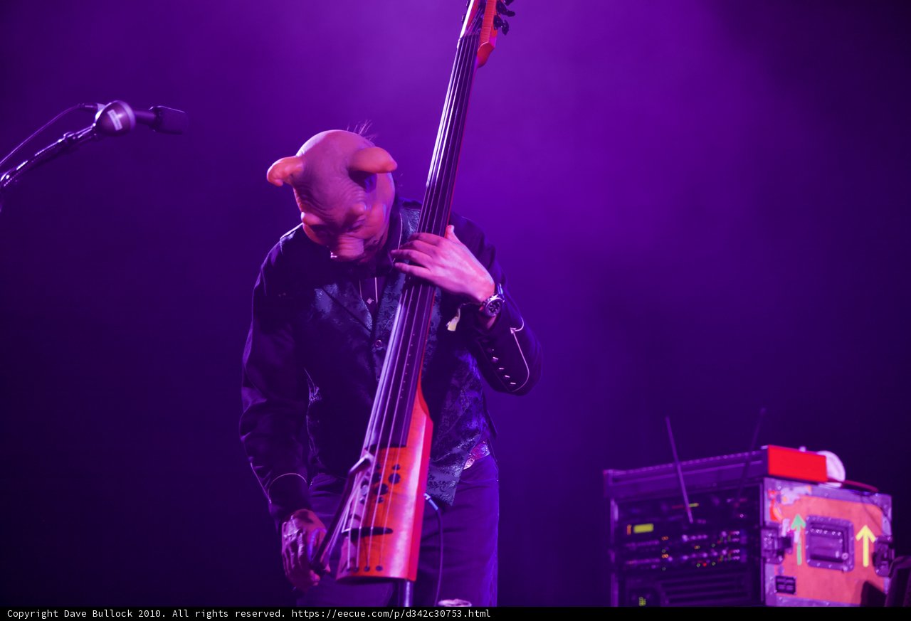 Bass Solo in Purple Hues