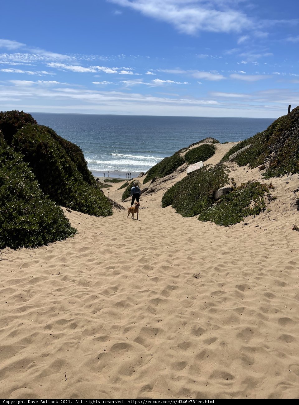 Coastal Adventure