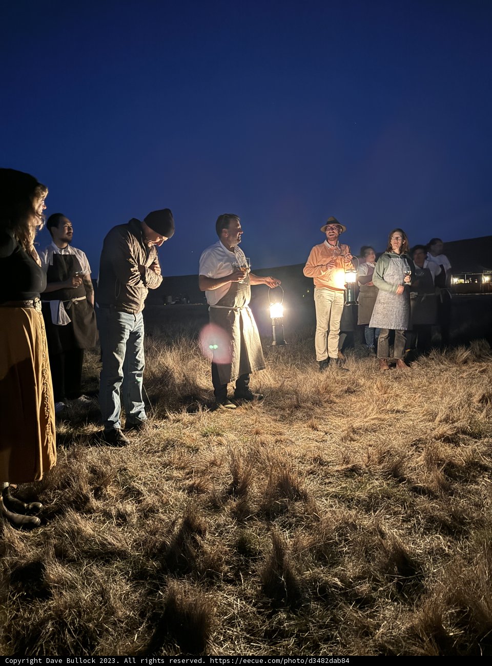 Twilight Gathering at Hog Island Oyster Co.