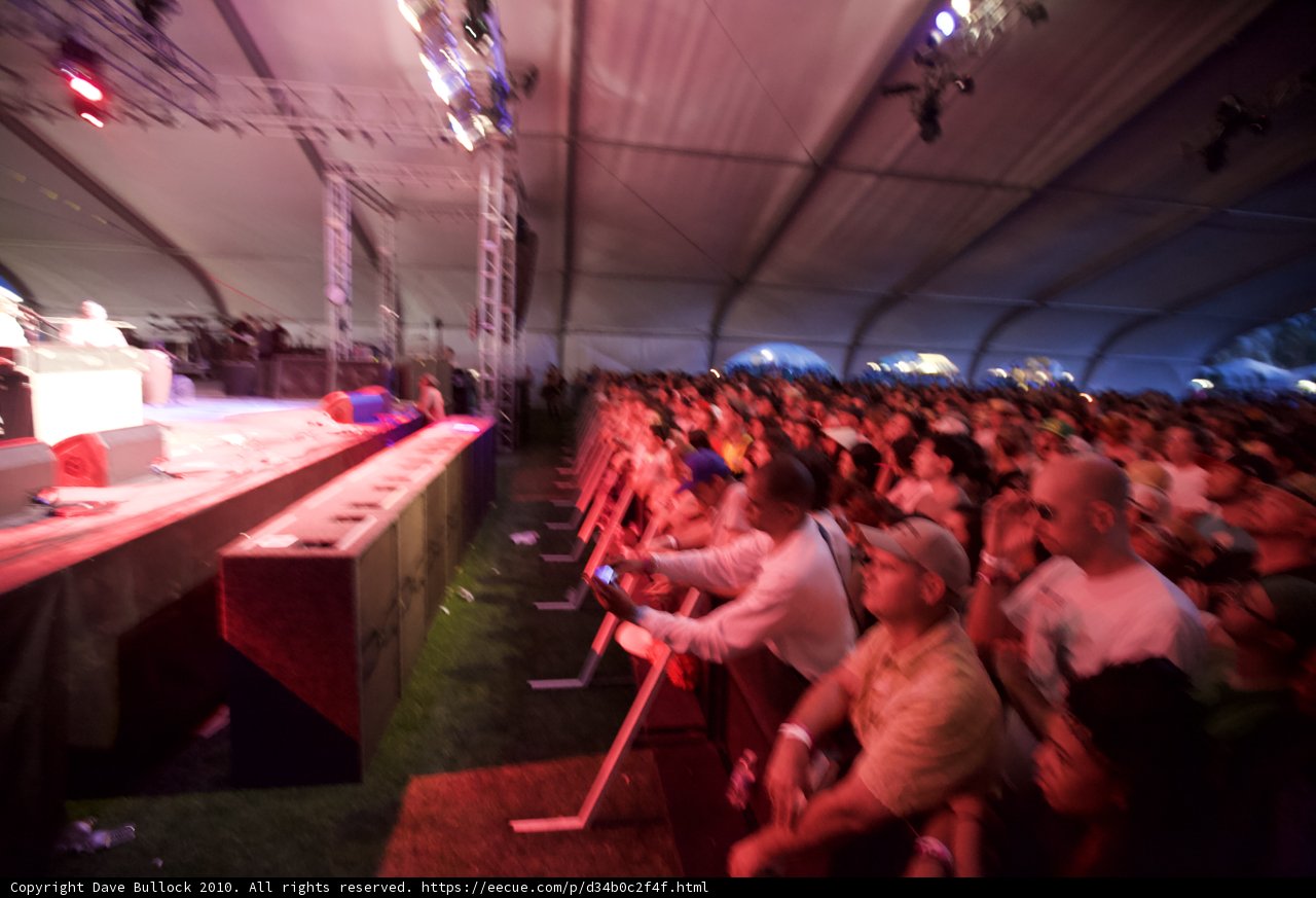Cochella Concert Crowd