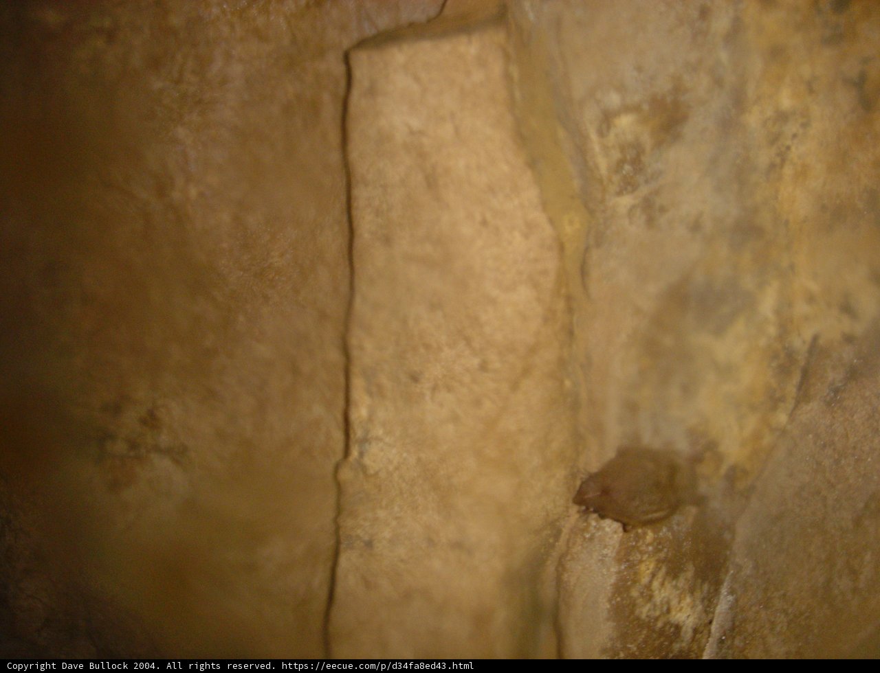 Face in the Rock