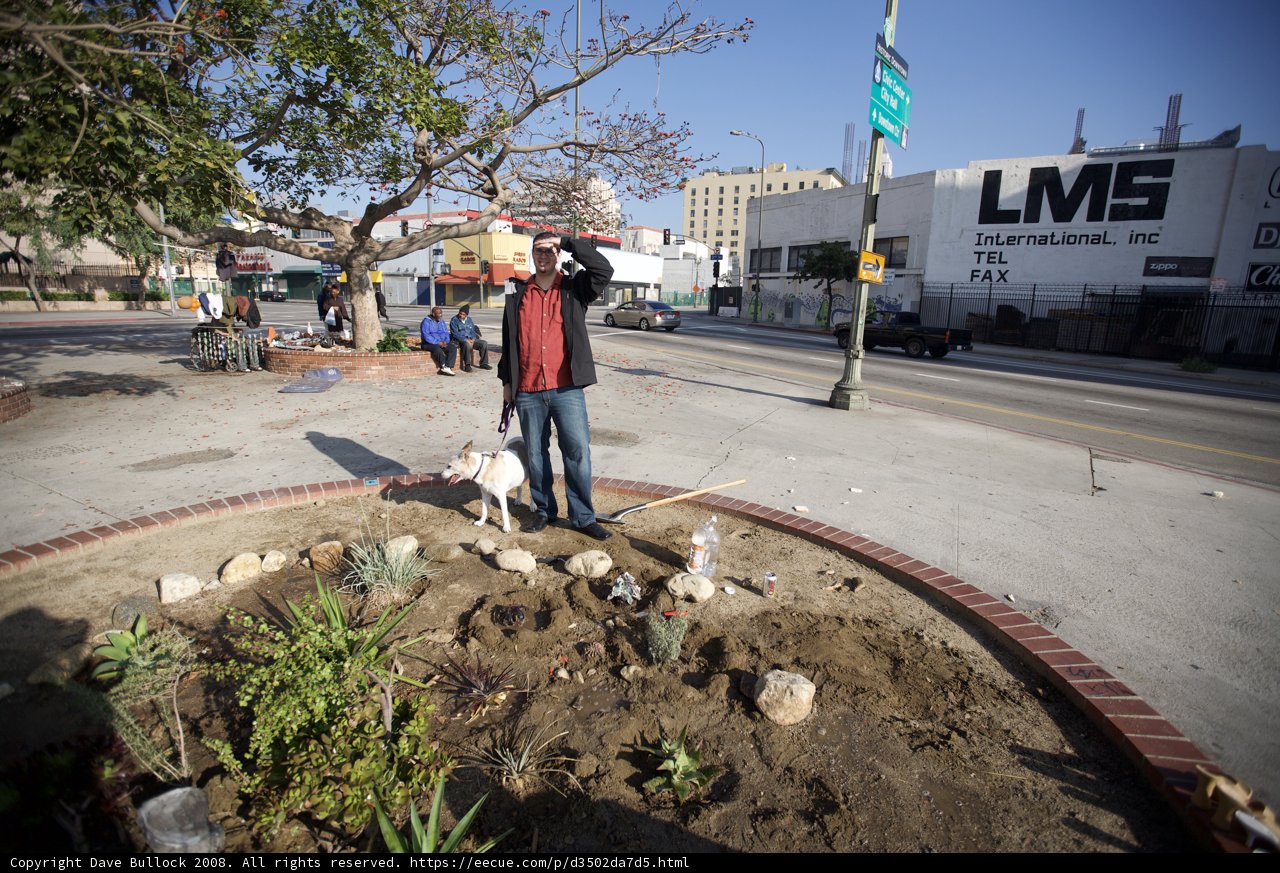 Urban Gardening with Canine Companion
