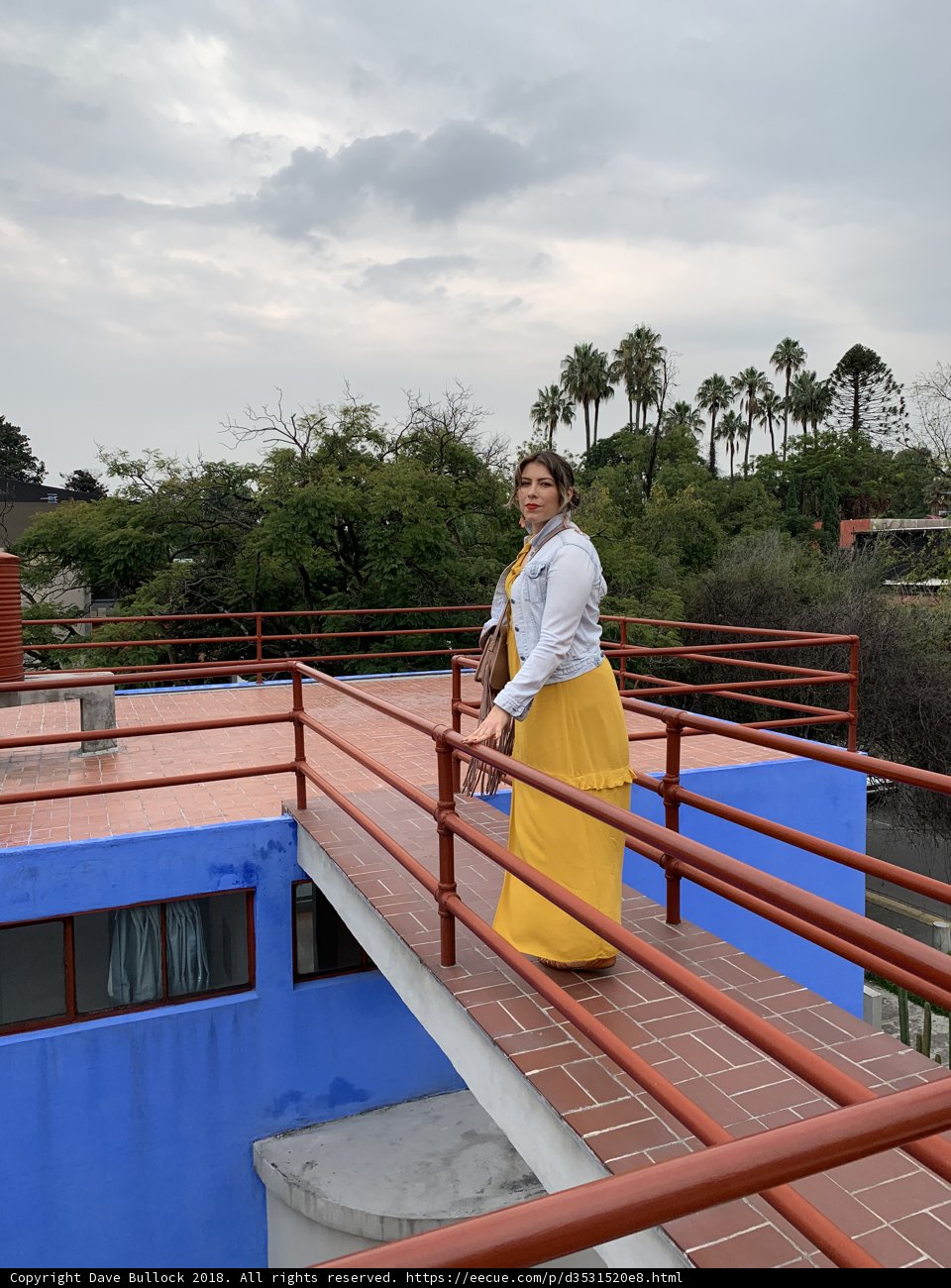 Yellow Skirted Lady on the Bridge