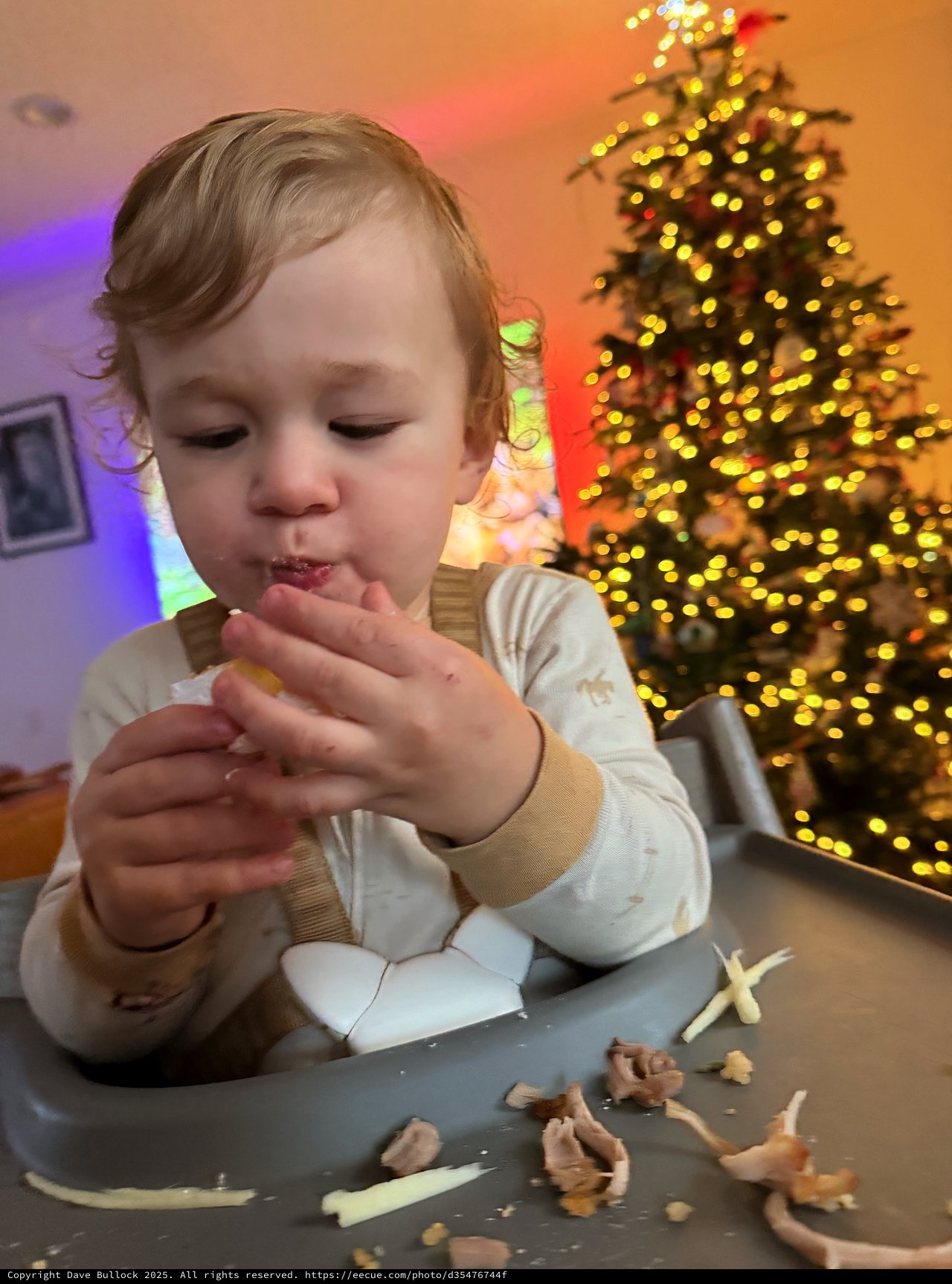 Toddler Enjoying Christmas Treats by the Tree