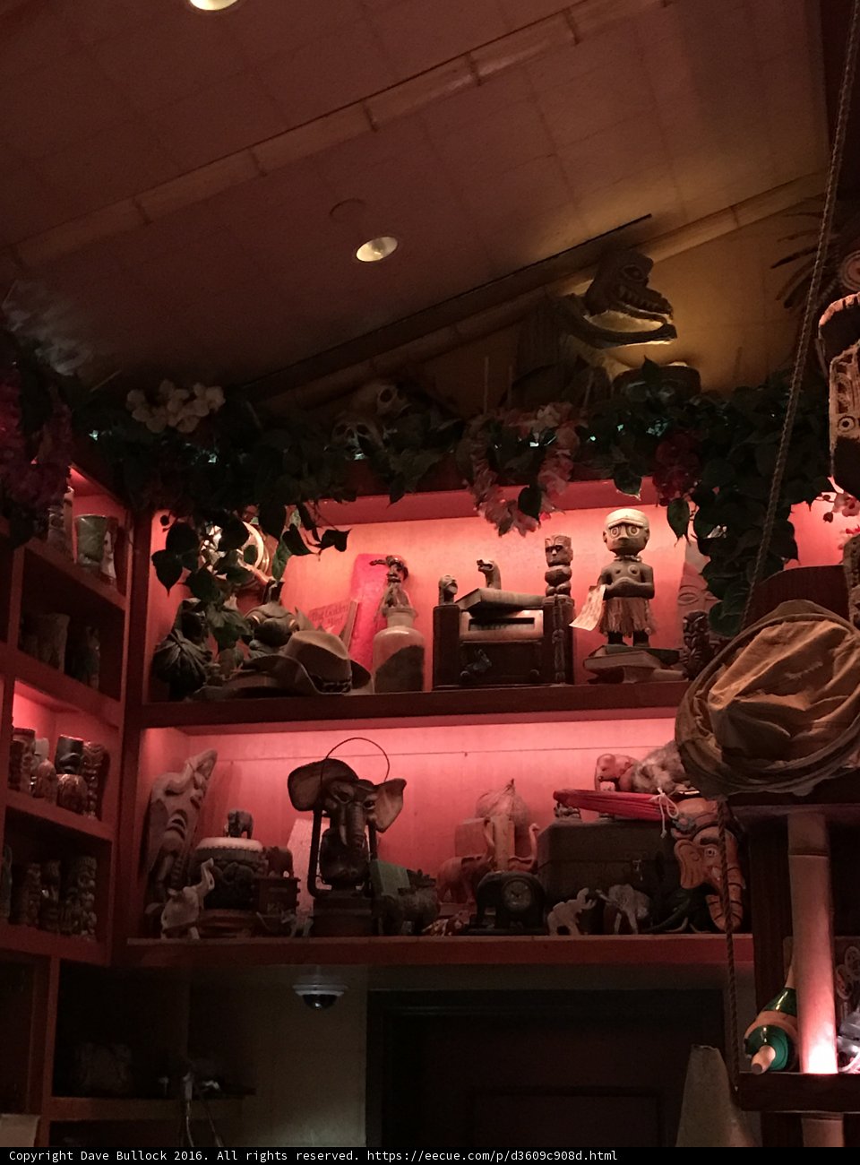 Illuminated Shelves and Beautiful Art in Disneyland Hotel's Boutique