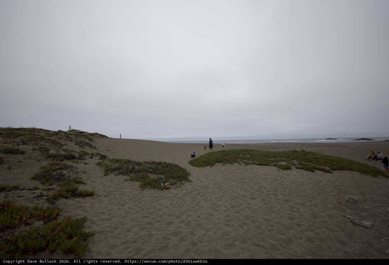 Overcast Beach Dunes on Father's Day Camping