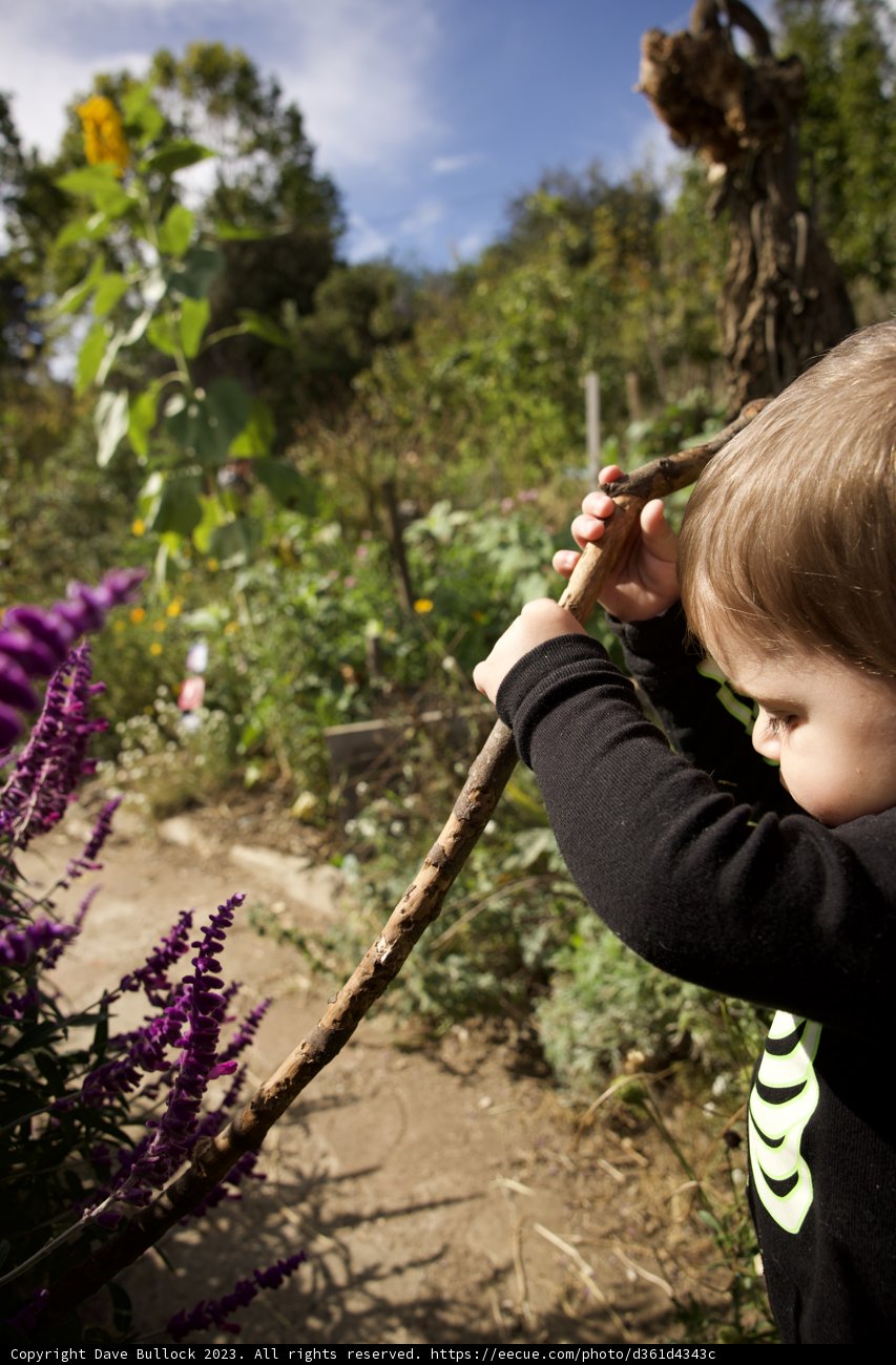 Innocence in Nature
