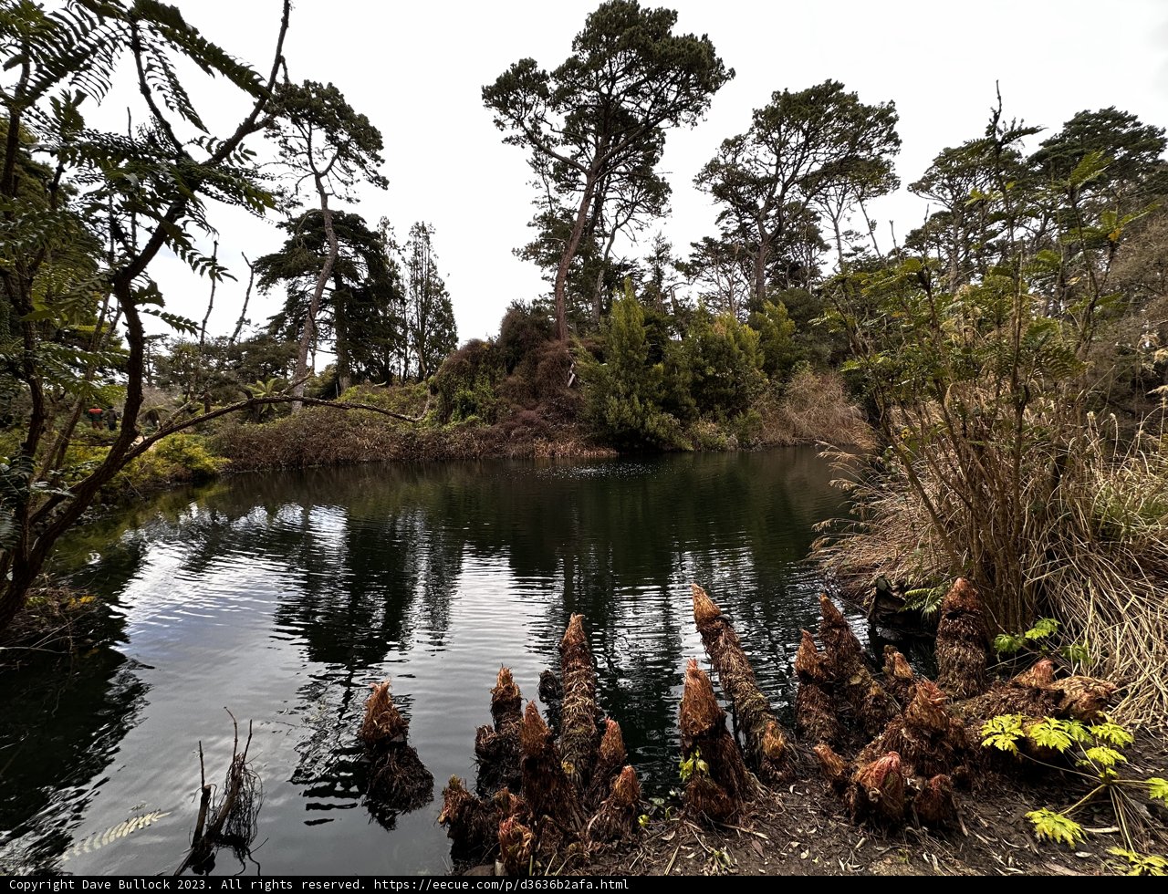 Quiet Reflections