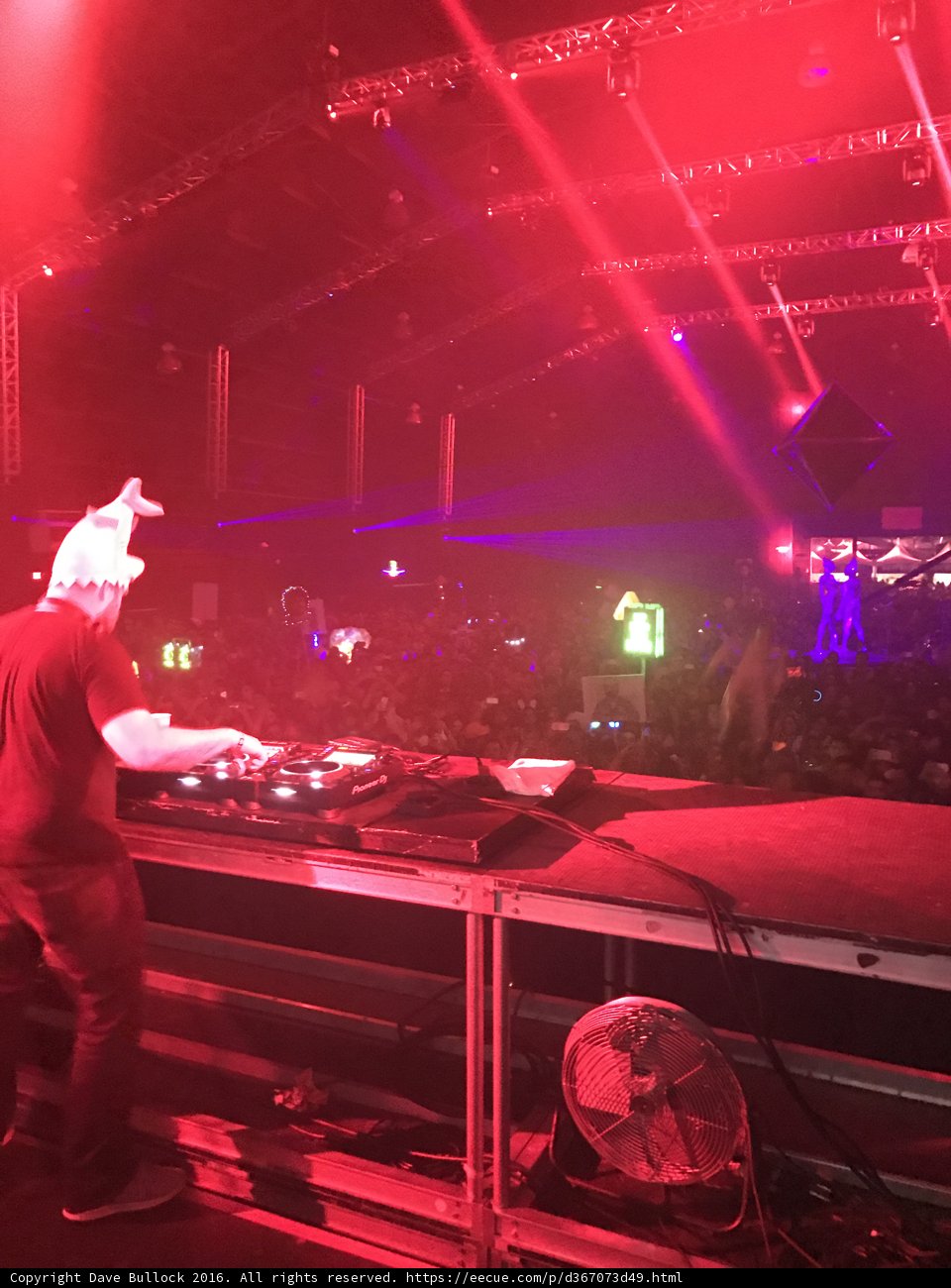 Nightclub Performance