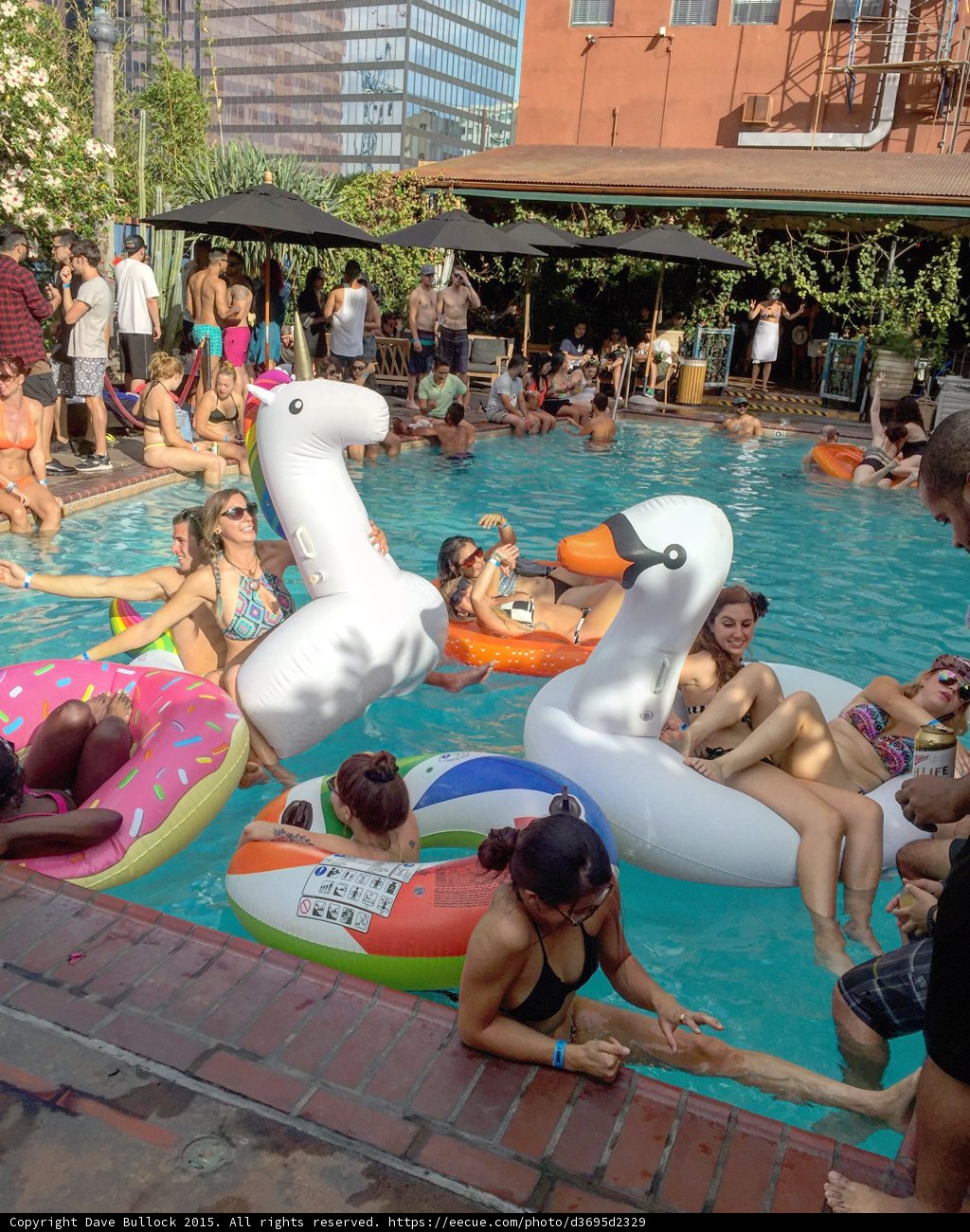 Summer Fun in LA