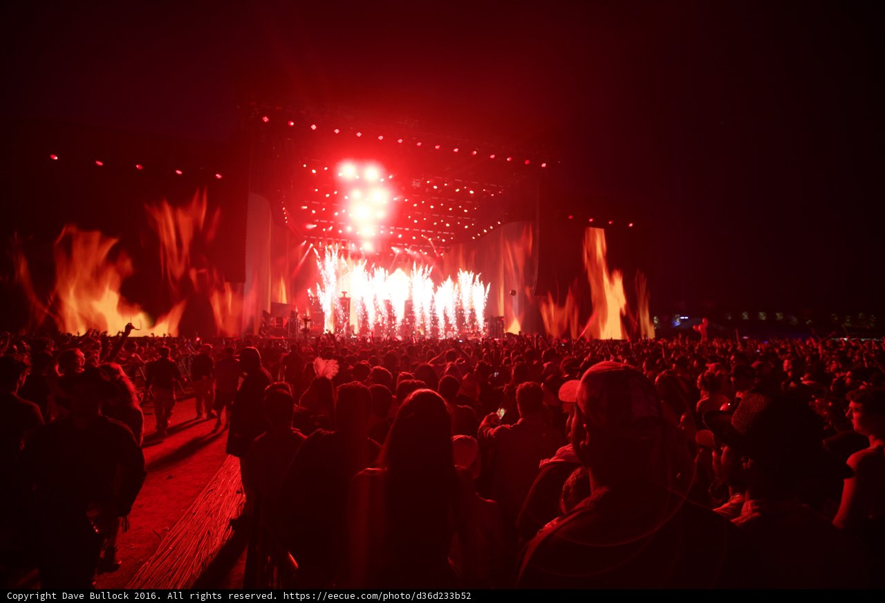 The Red-Lit Crowd Rocks Out