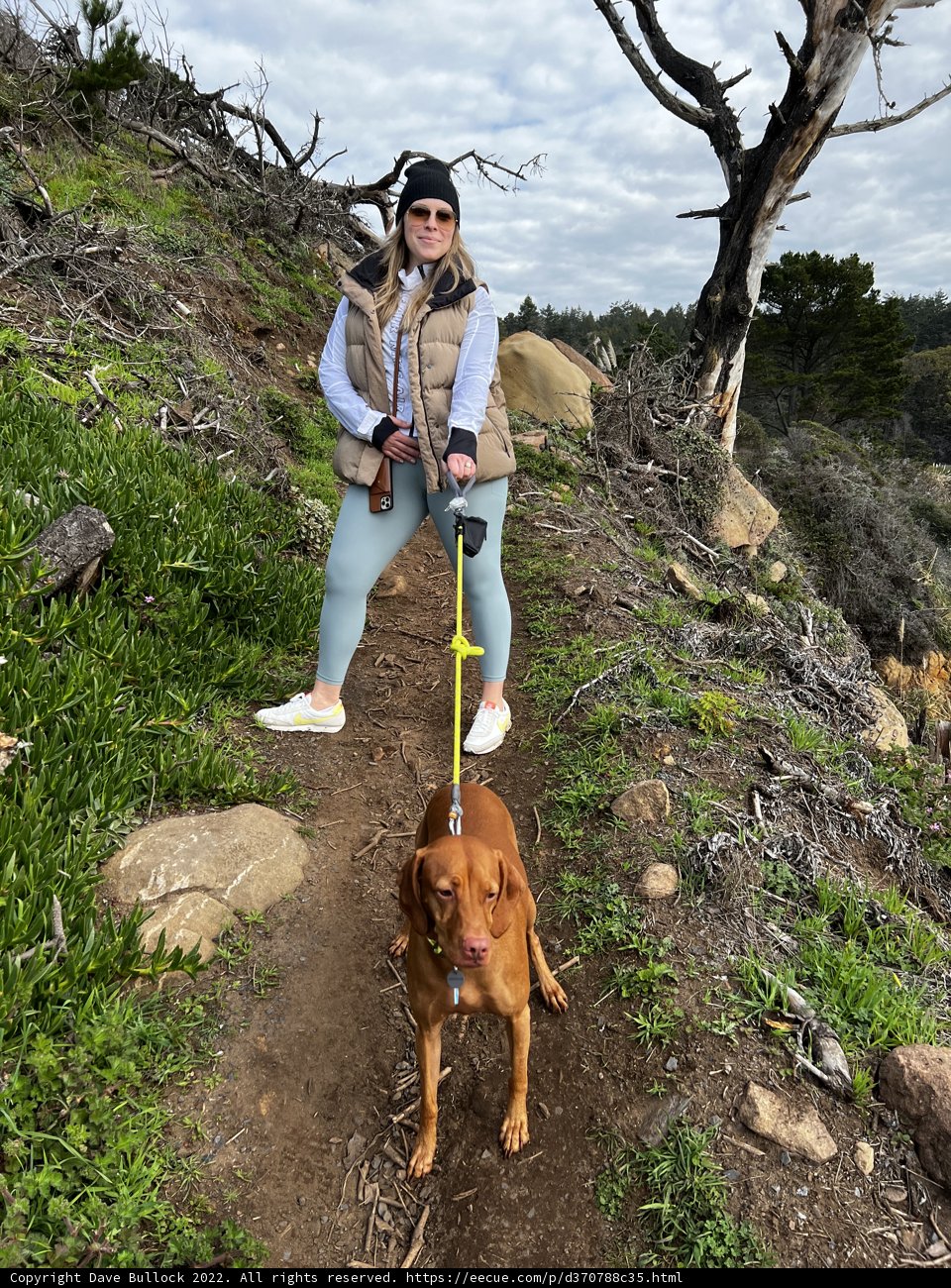 Walking with My Companion on the Trail