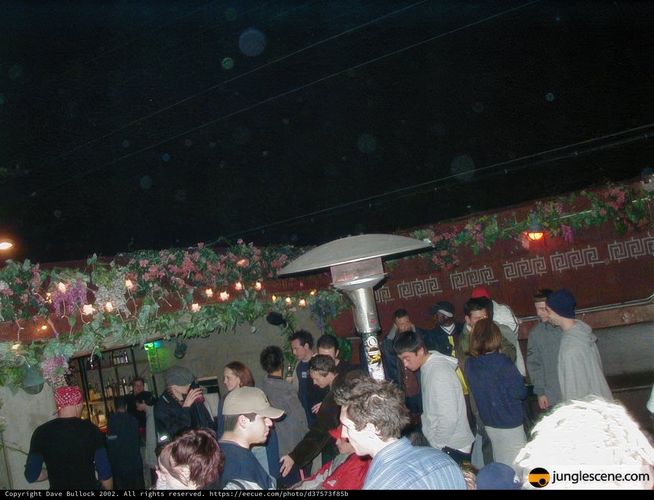 Nightlife at the Club