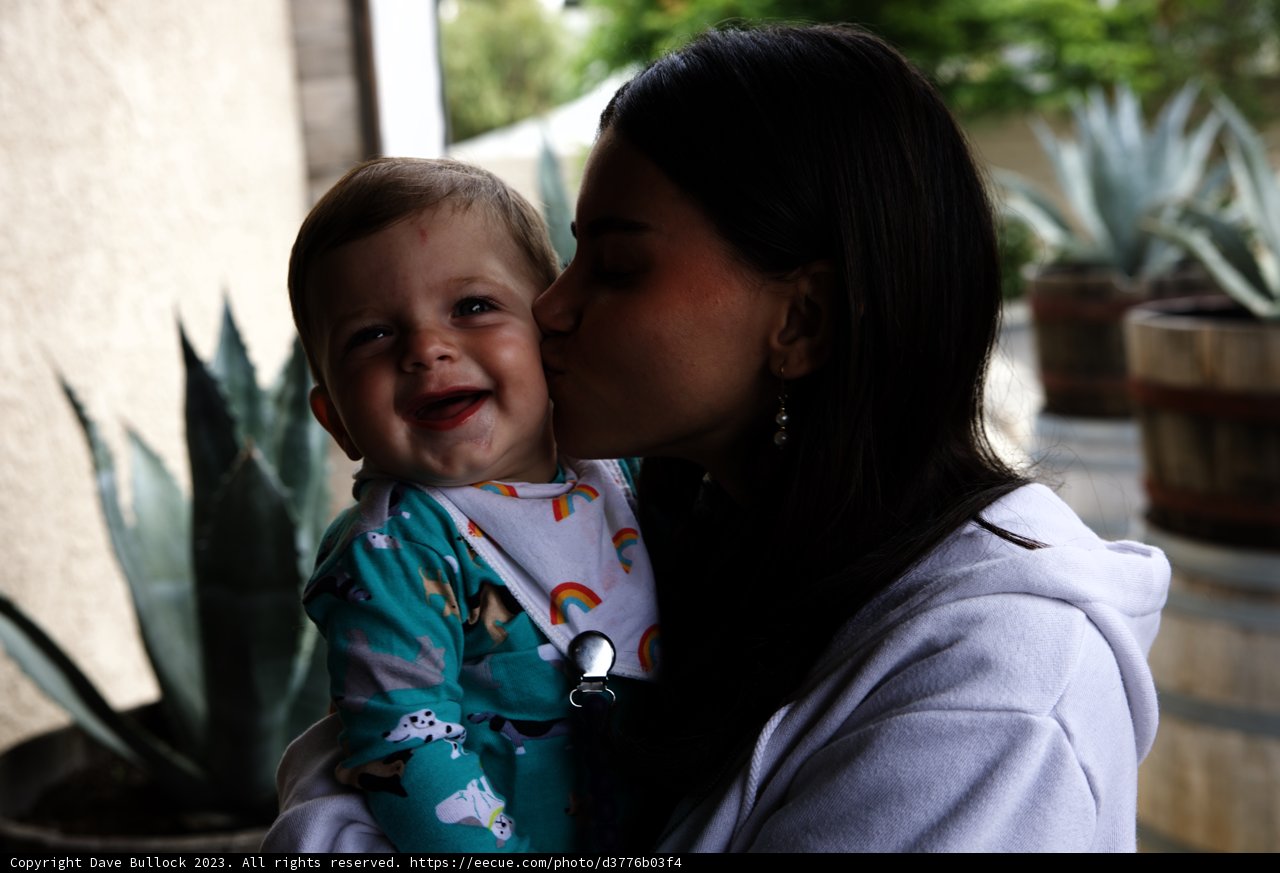 A Mother's Tender Love