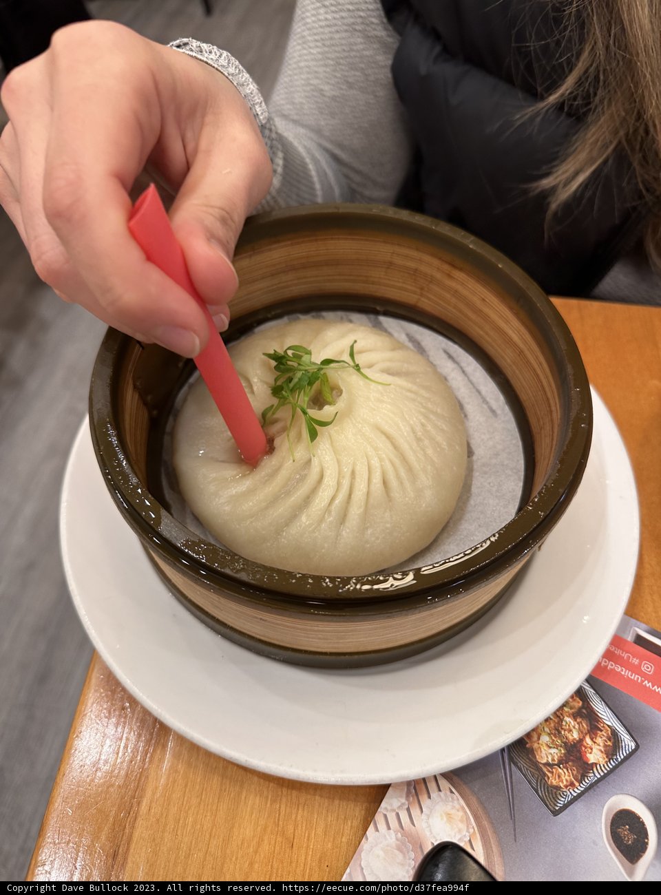 Dumpling Delight