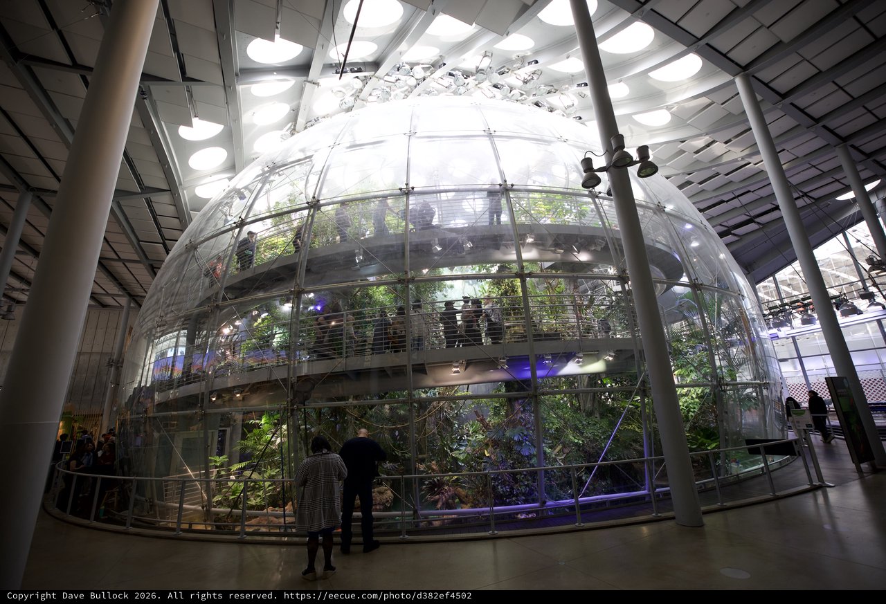 Modern Multi-Level Rainforest Sphere in Contemporary Architecture