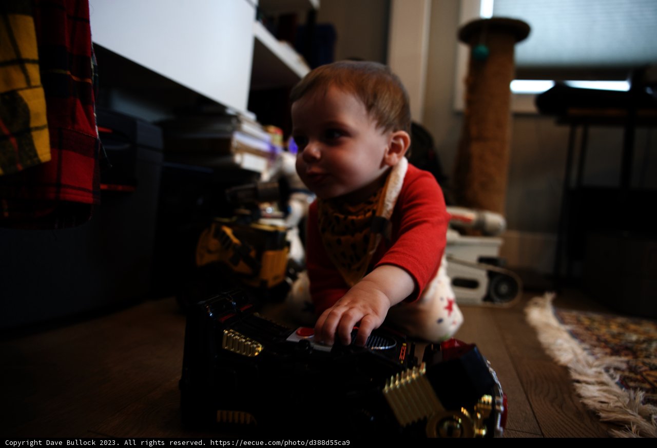 Little Racer in Action