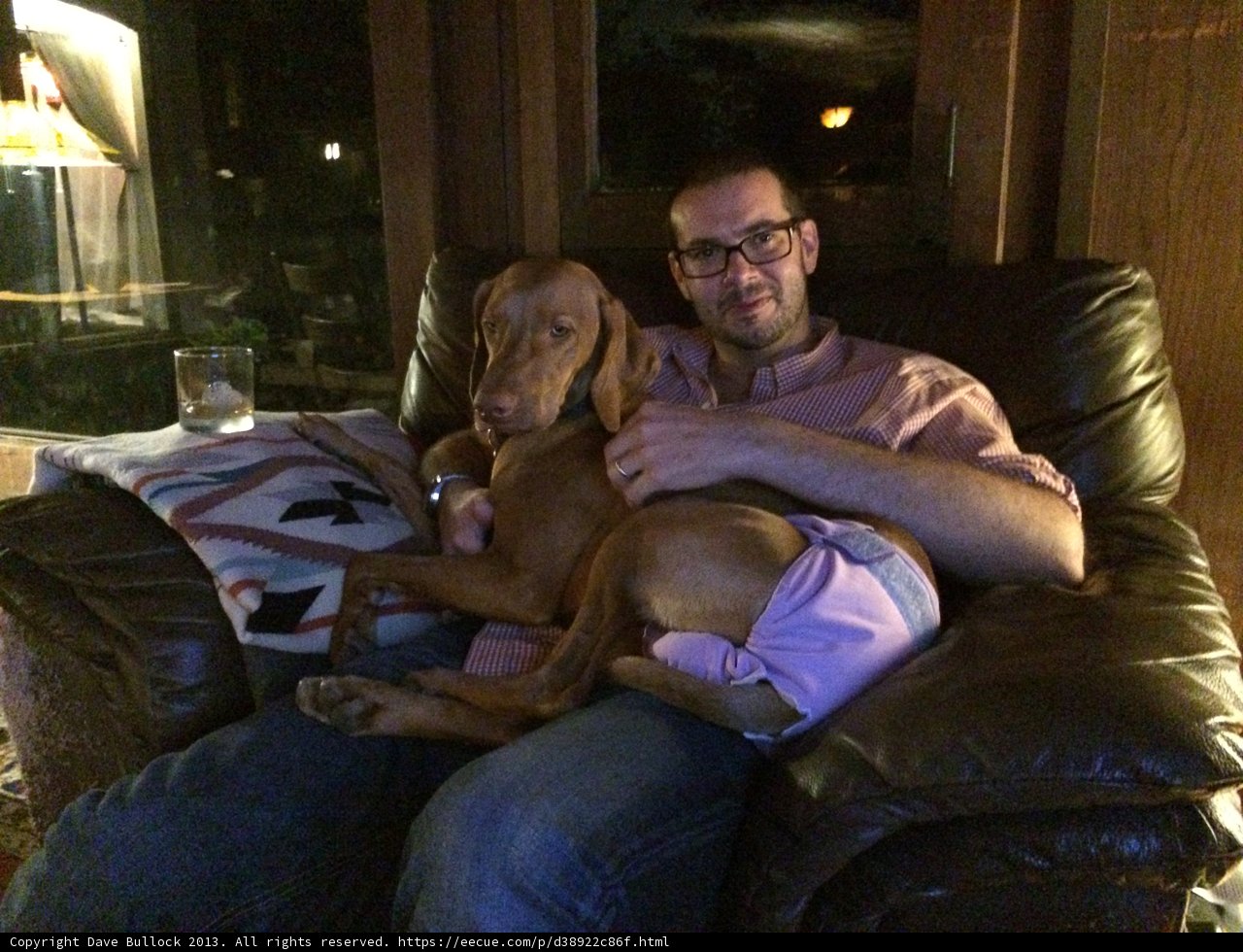 Man's Best Friend