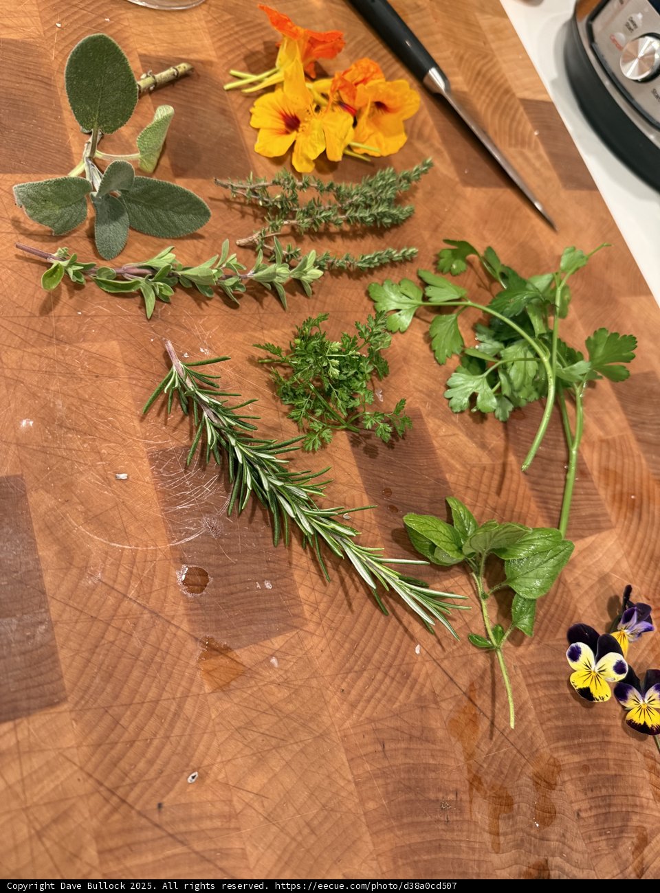 Culinary Palette