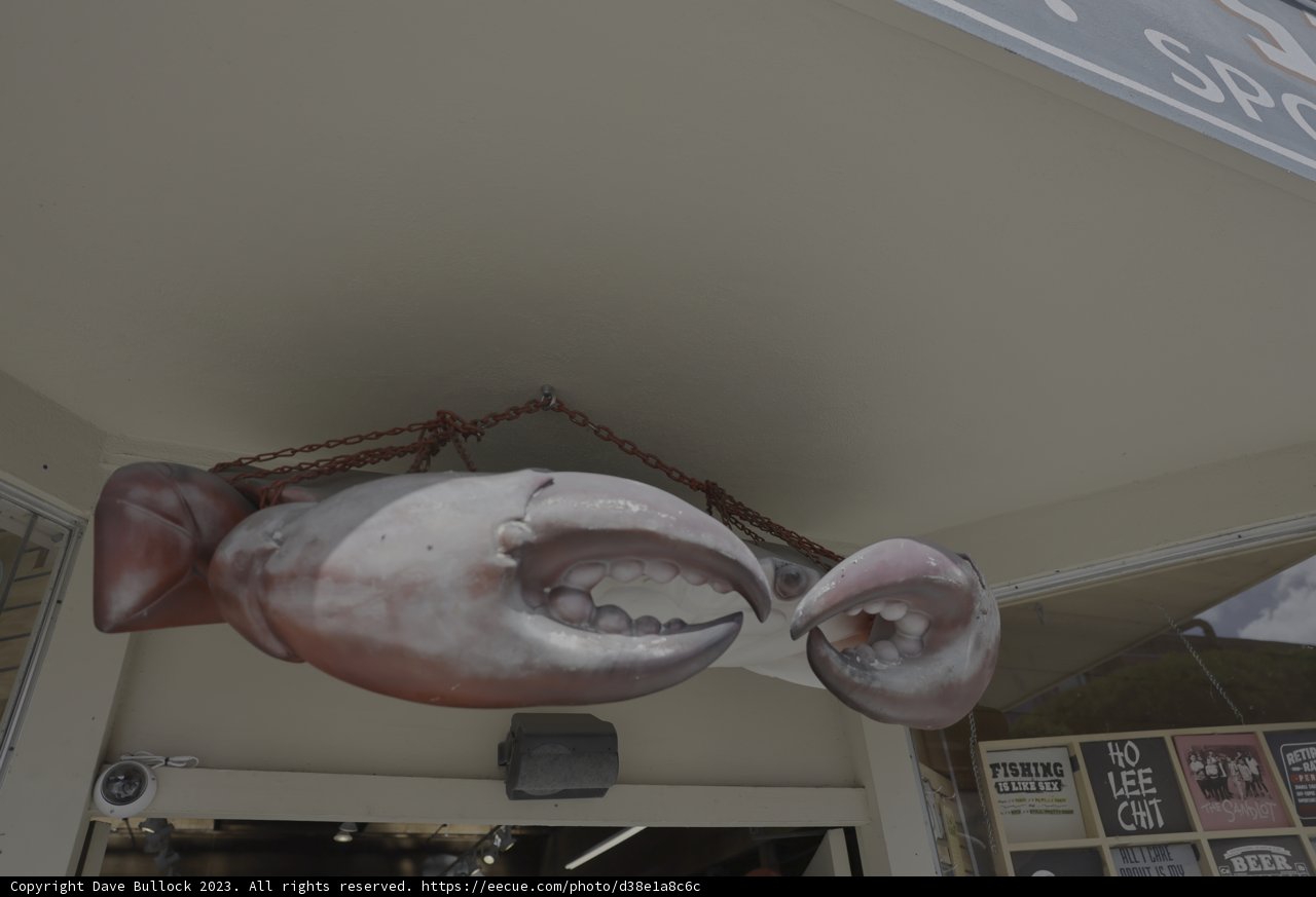 Seafood Signage