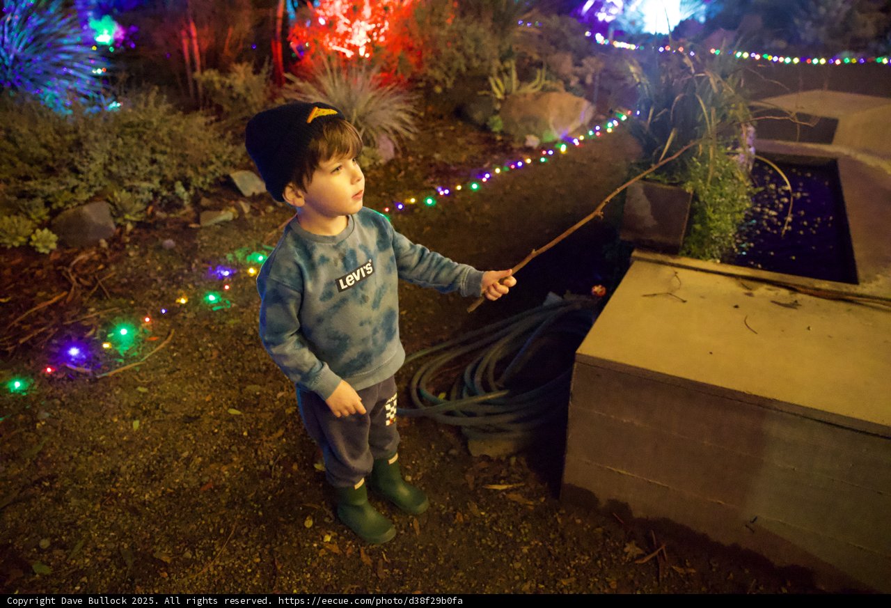 Little Explorer in the Garden of Lights