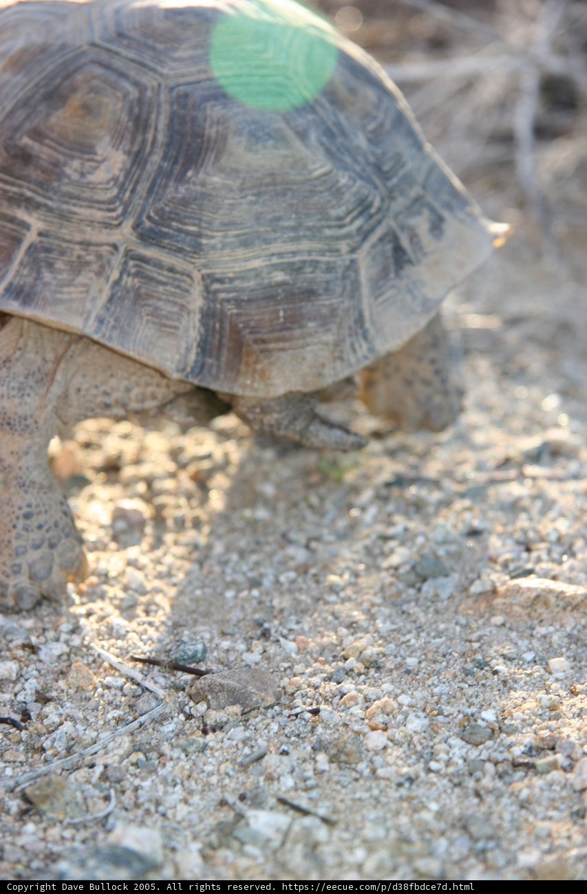 Slow and Steady