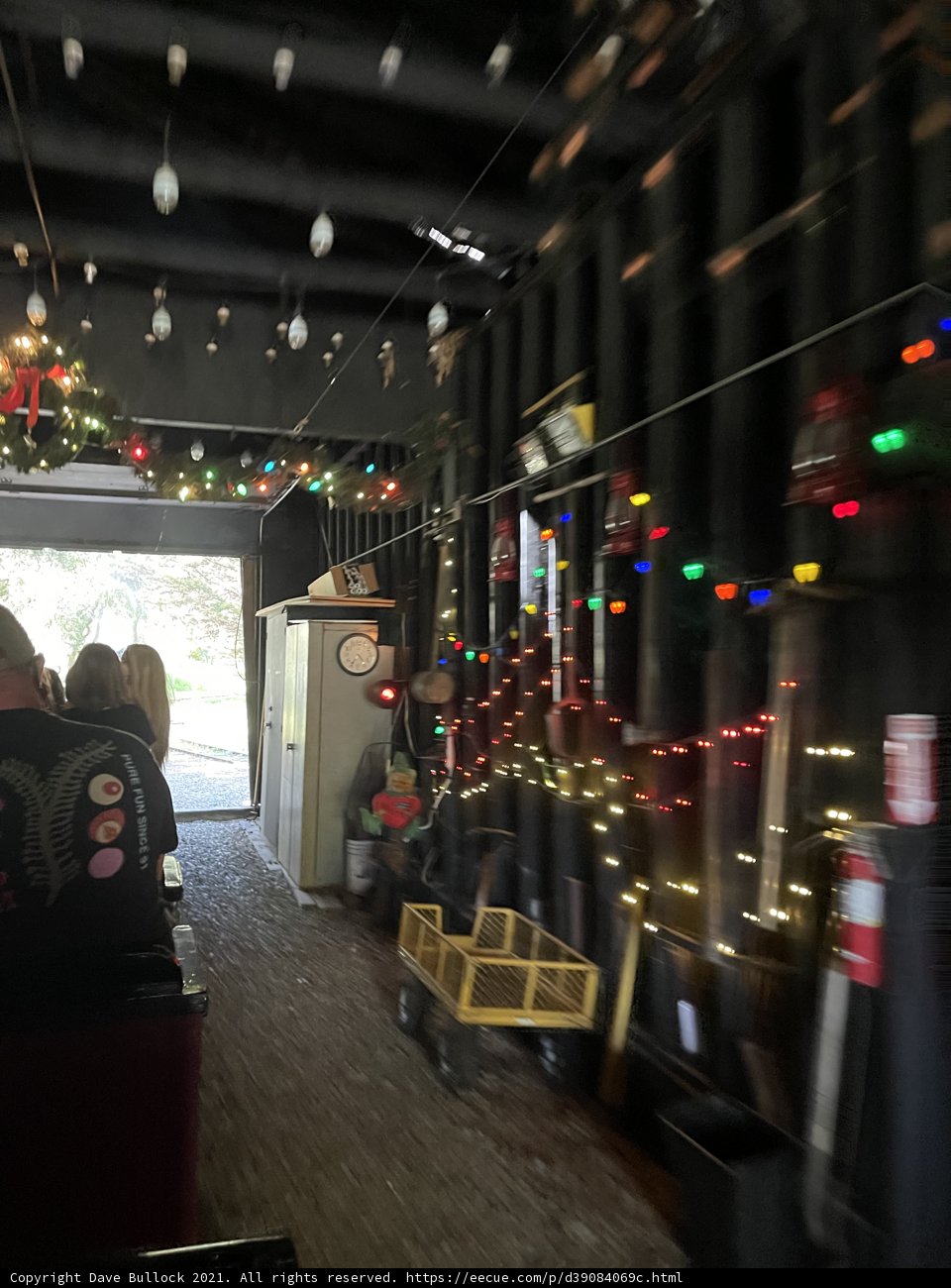 Festive Train Ride Through Tunnel