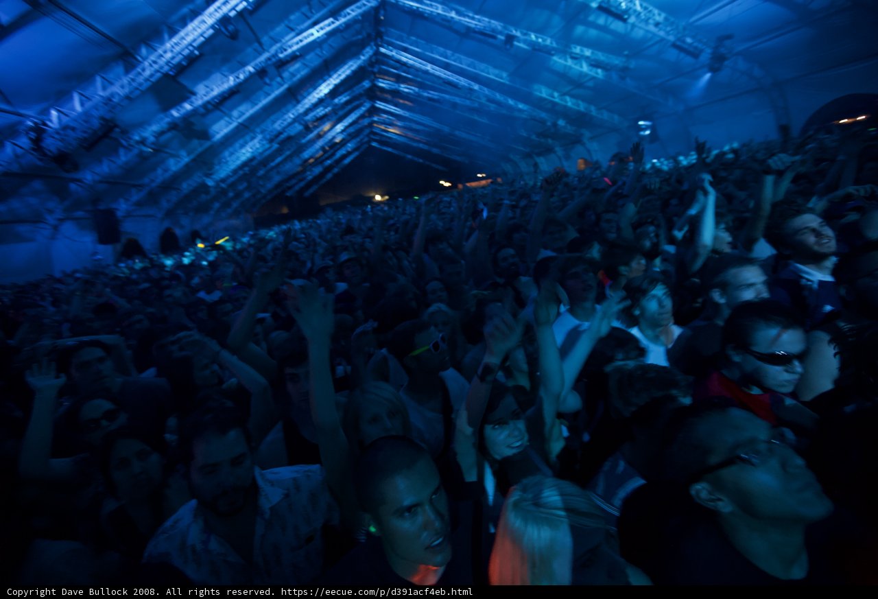 Hands in the Air at Coachella 2008
