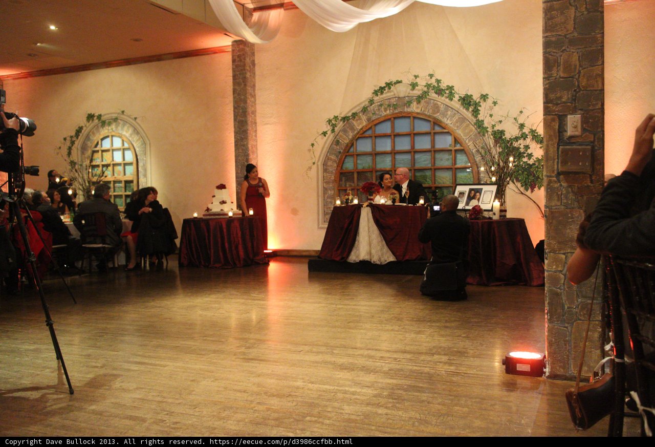 Elegance and Romance at the Reception