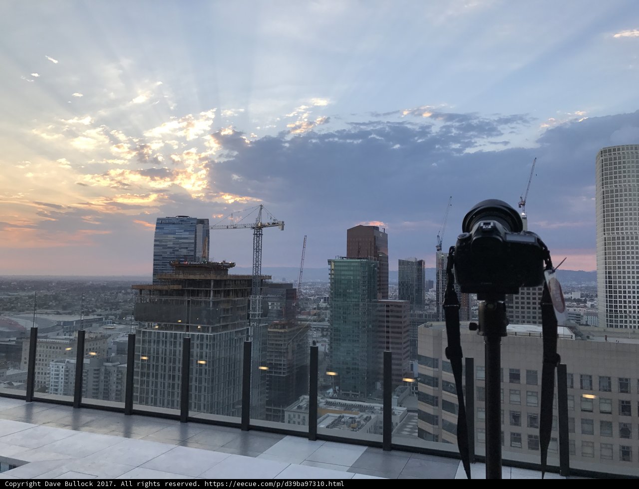 Cityscape Paradise
