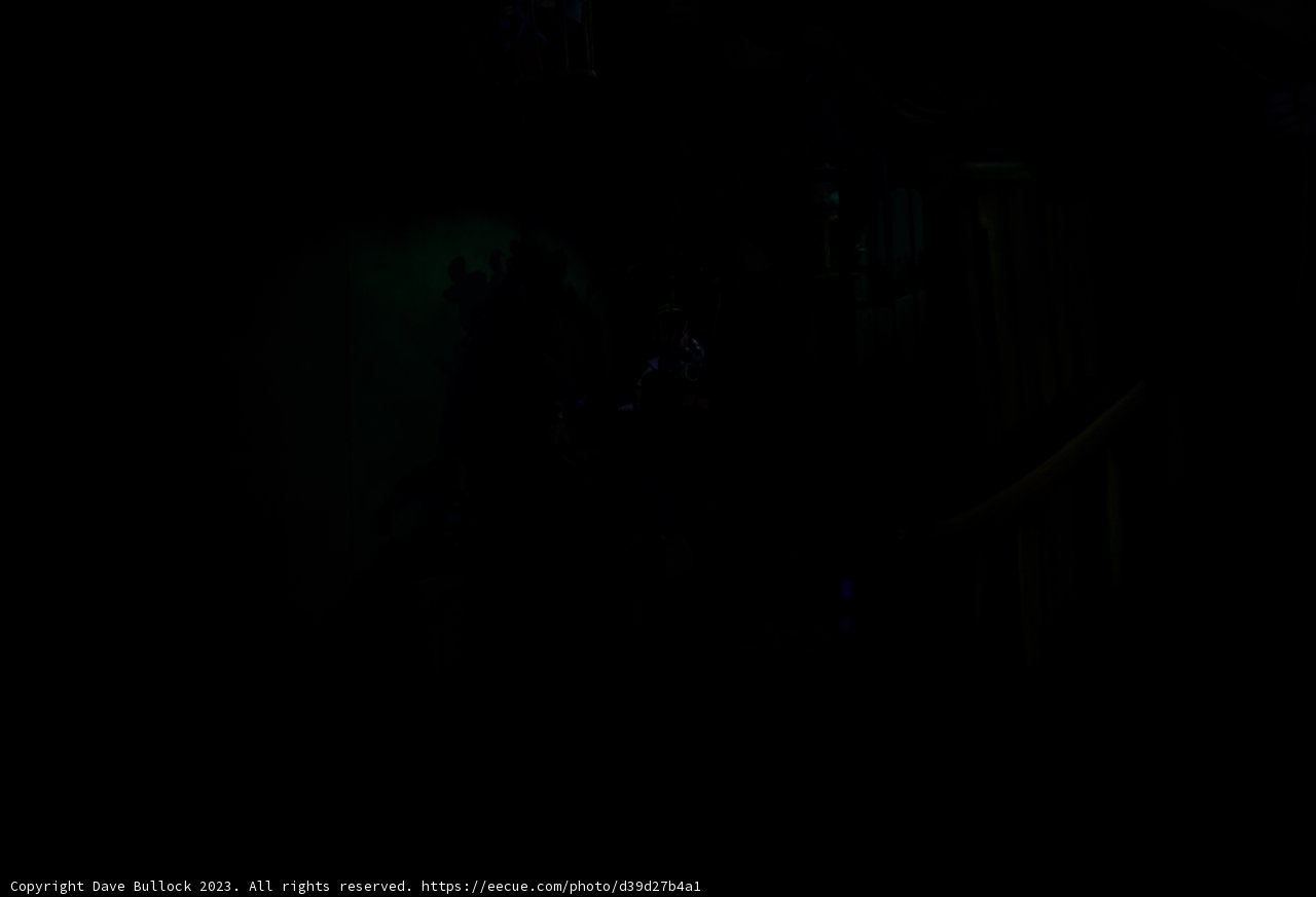 Enigma in the Shadows