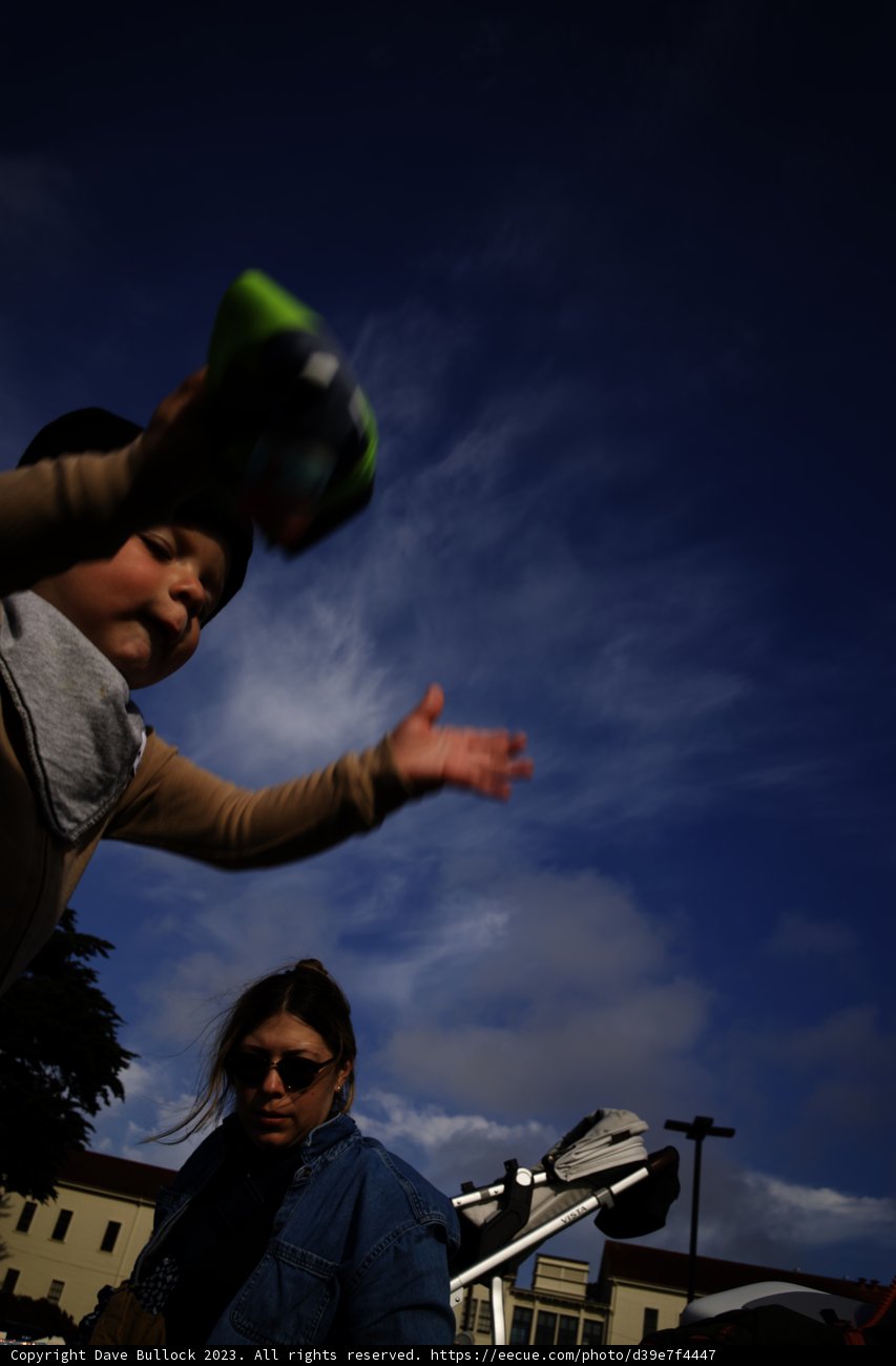 Frisbee Fun Under the Summer Sky