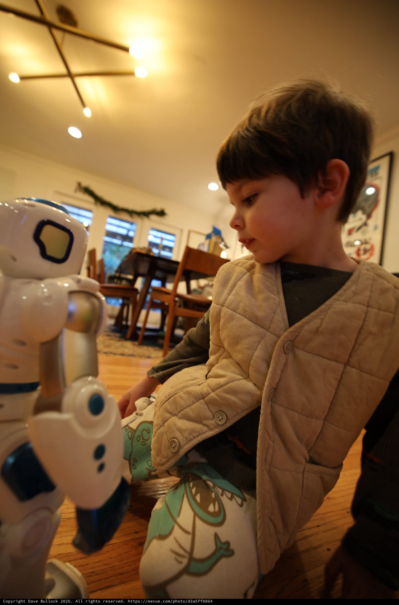 Child Interacting with Humanoid Robot at Home