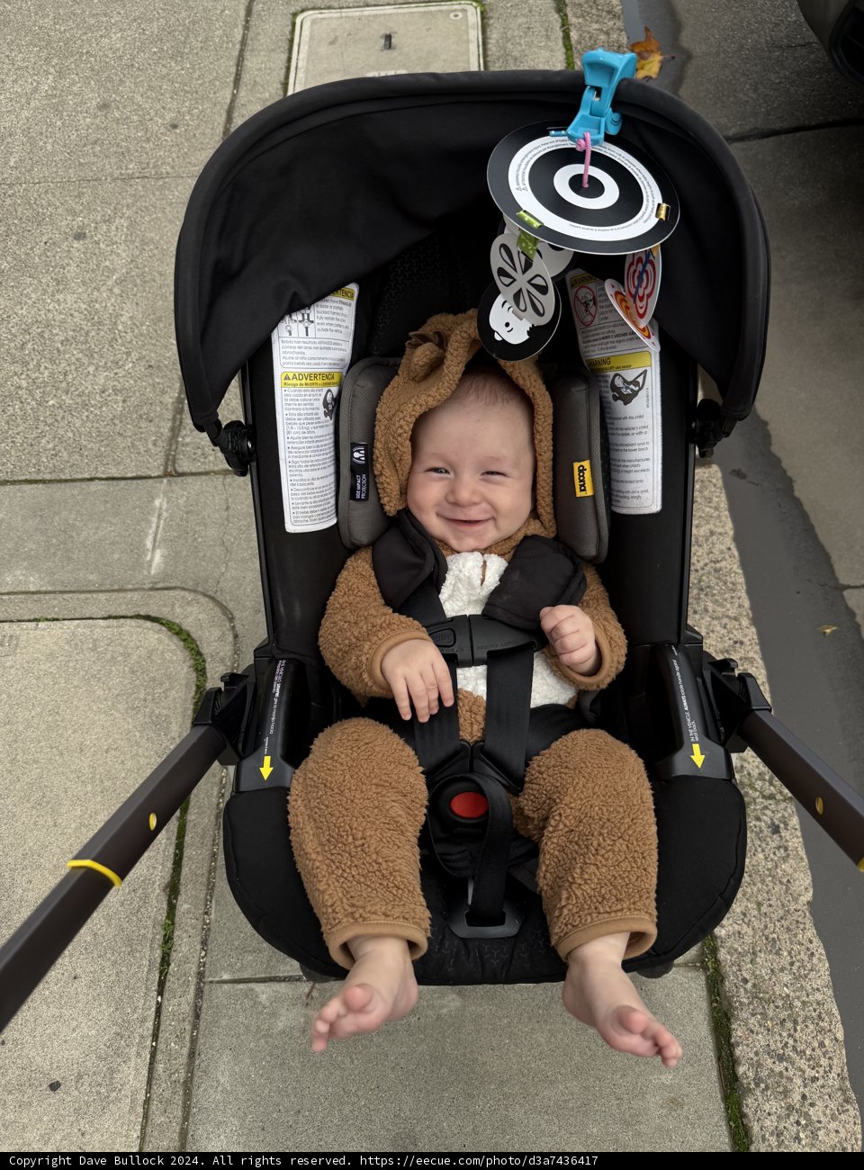 Joyful Stroll in Sonoma