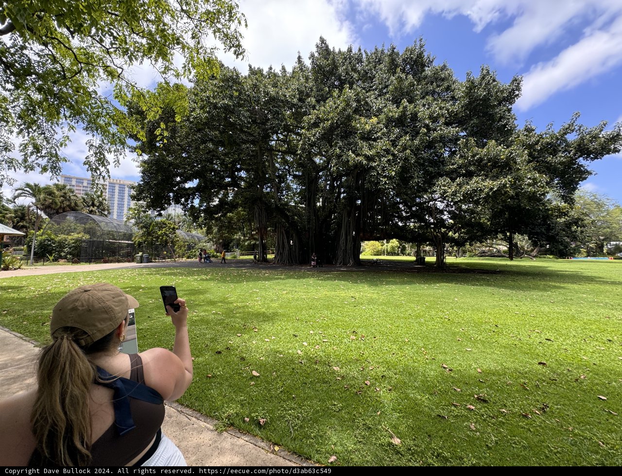 Capturing Moments at Honolulu Zoo