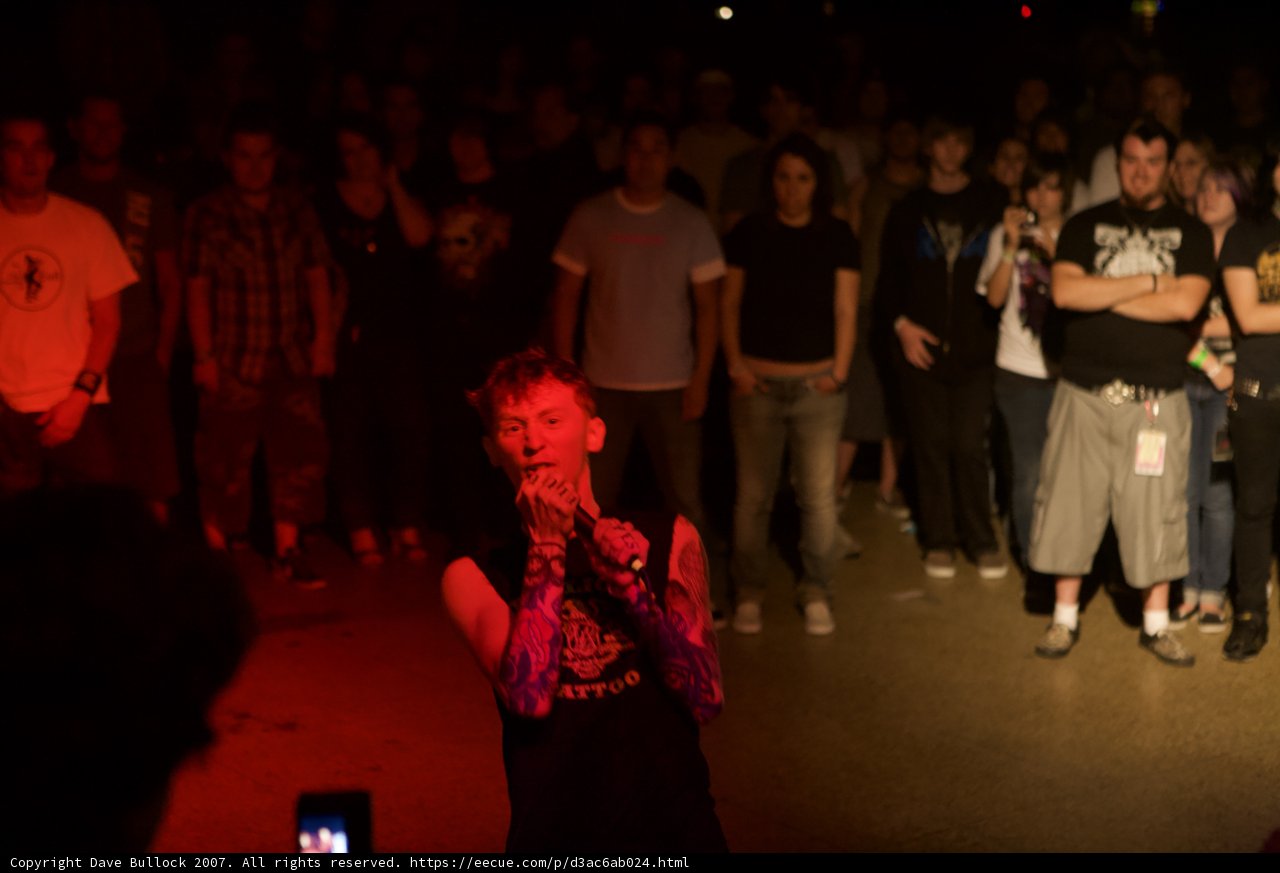 Rocking Out to Bad Religion
