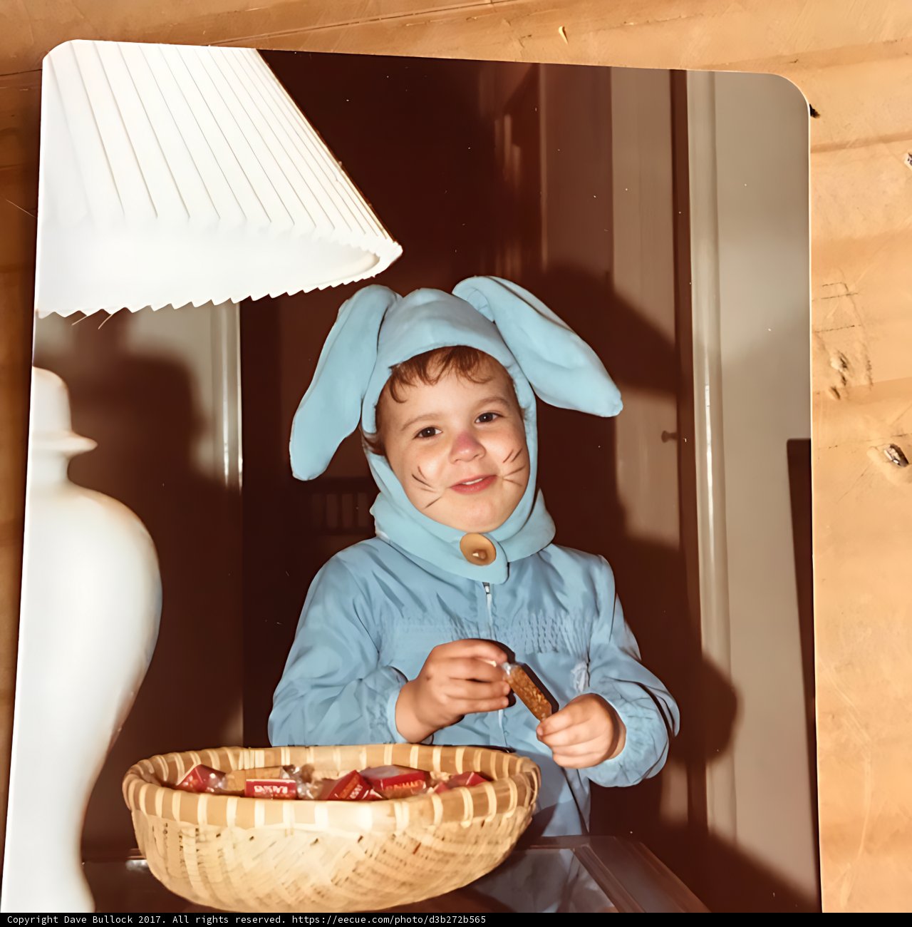 Bunny Fruit Bearer