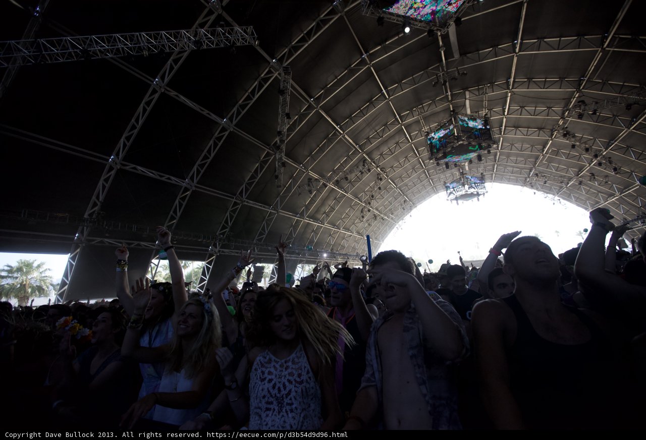 Coachella Music Festival attendees enjoy the energetic crowd
