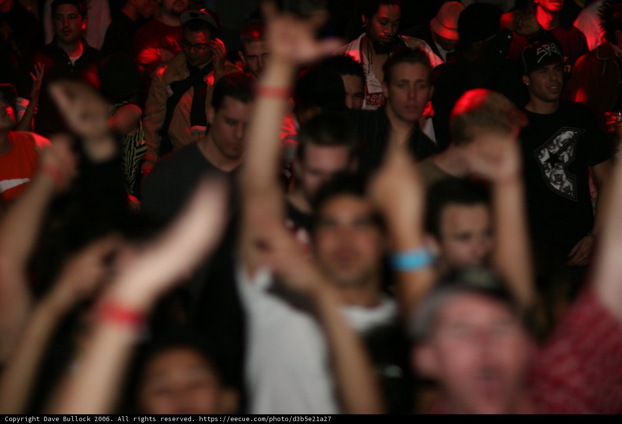 Bass Rush Party People