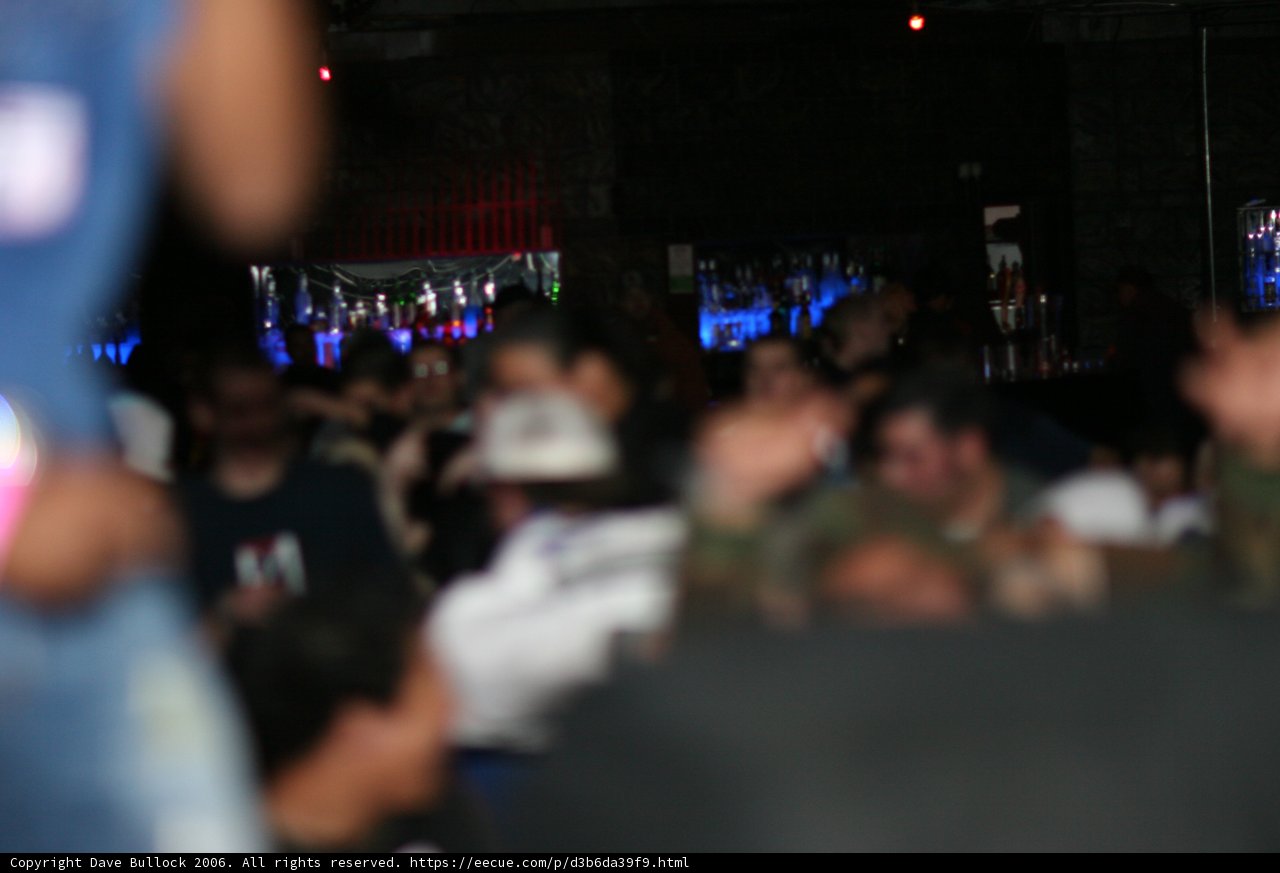 Nightlife Gathering
