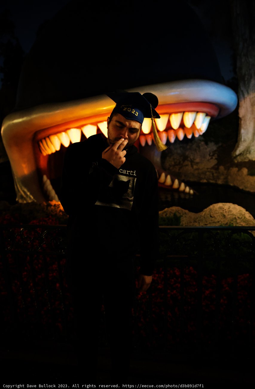 A Whimsical Encounter with a Giant Fish