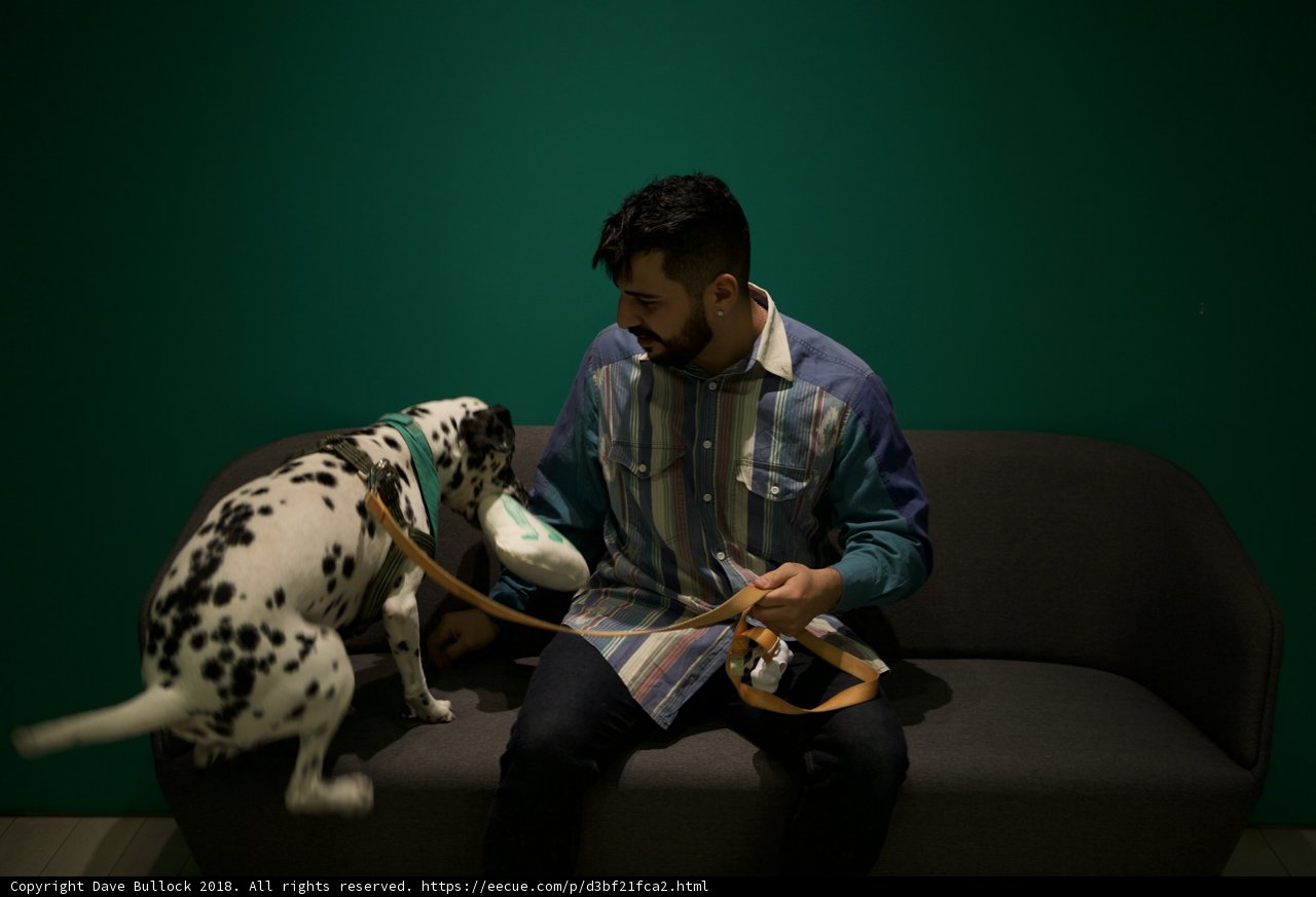 Man and his Furry Companion