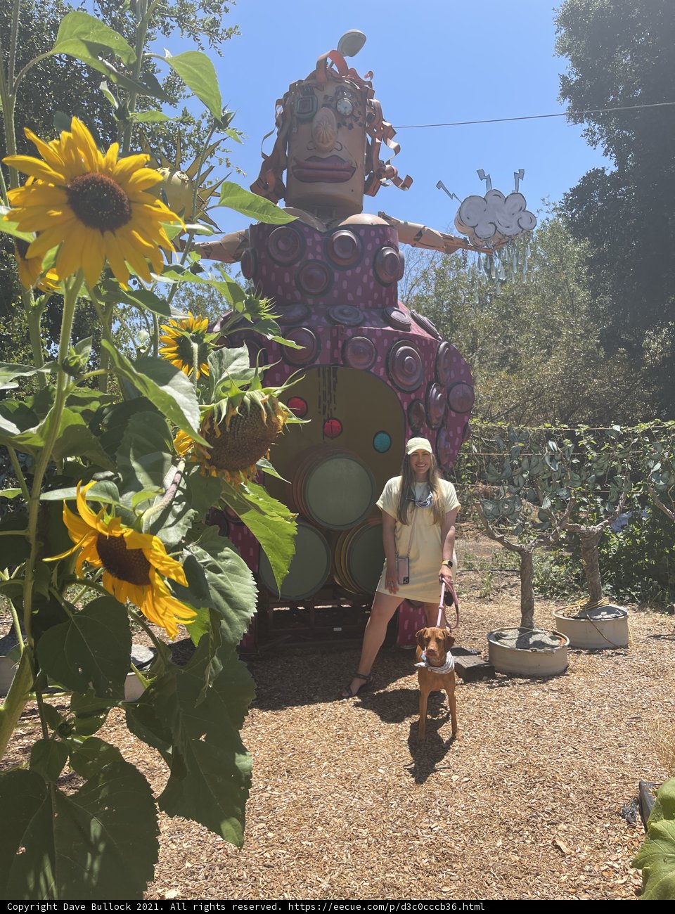 Woman and Dog Admire Giant Herbal Statue